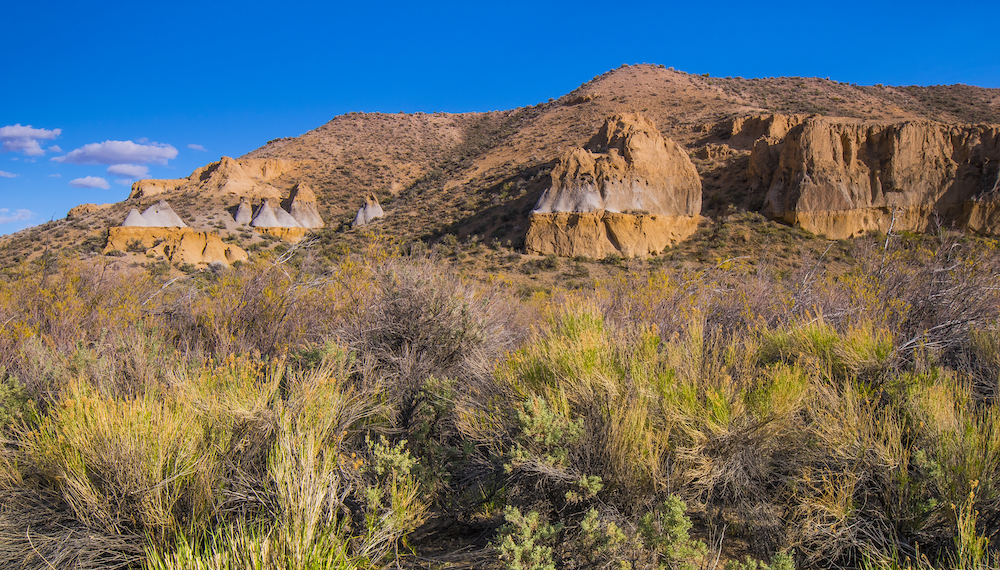 sagebrush against a red rock mountain.