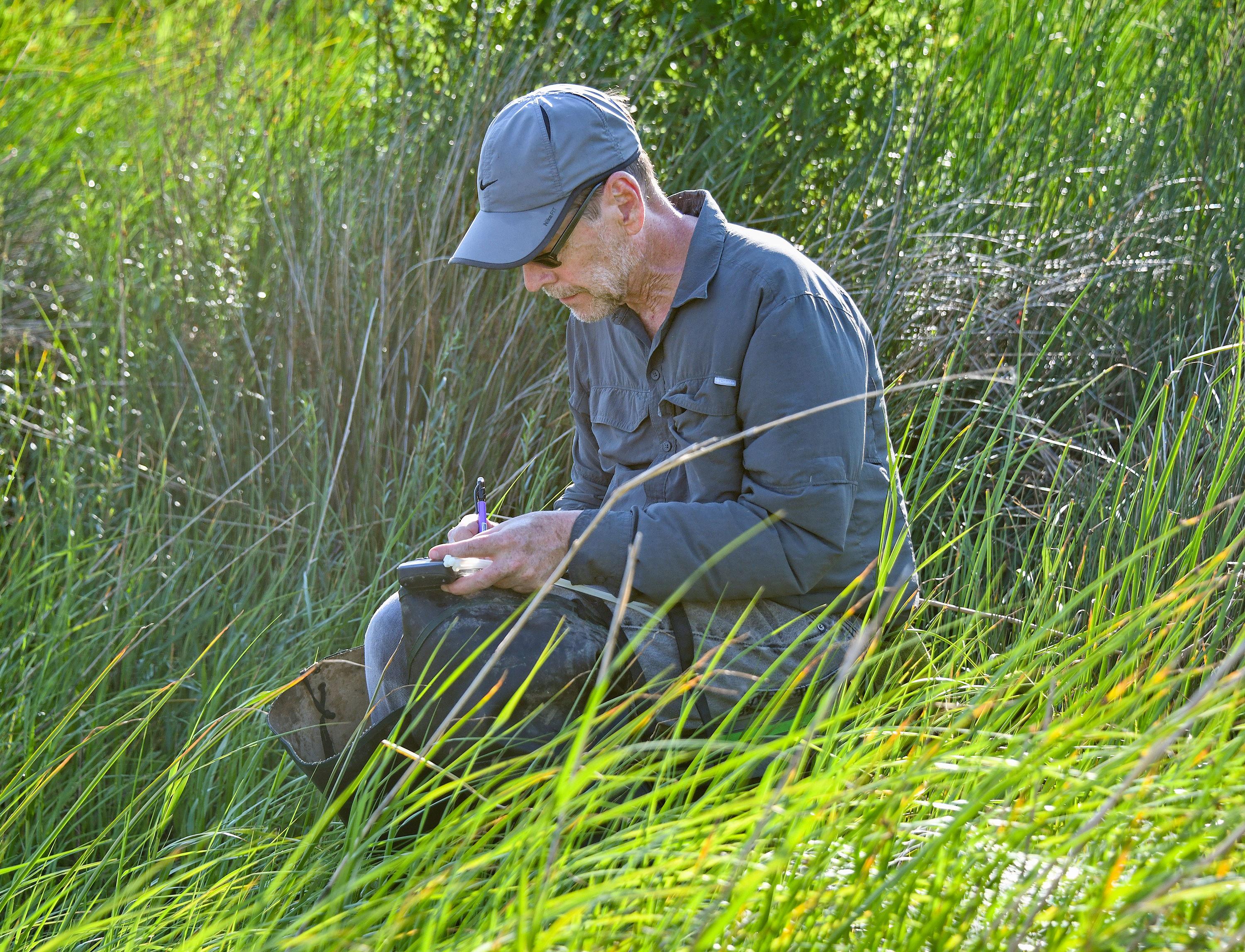 A researcher takes notes on a grassy slope.