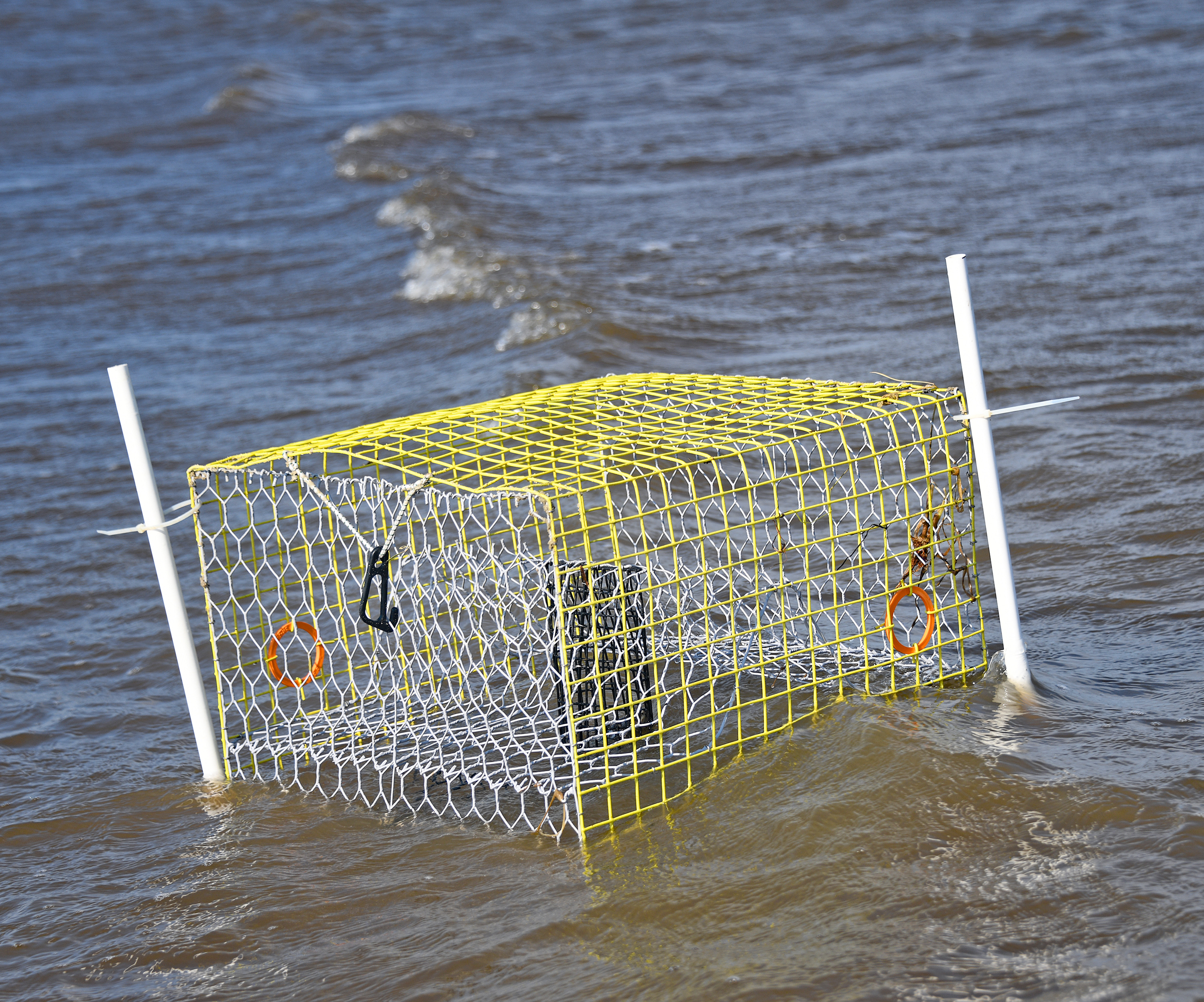 A yellow cage floats in the surf.