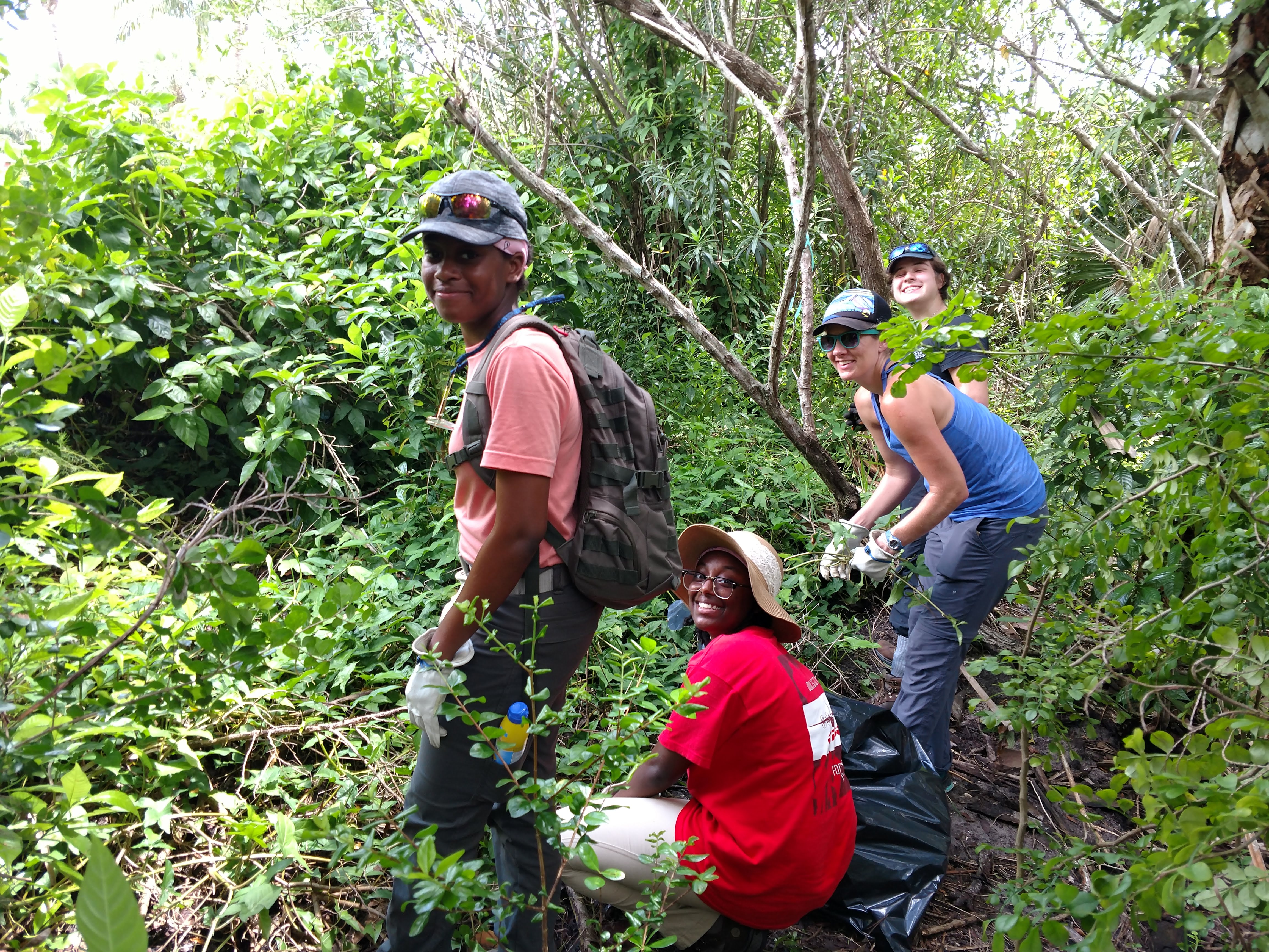 Volunteers remove invasive species from Blowing Rocks Preserve site.