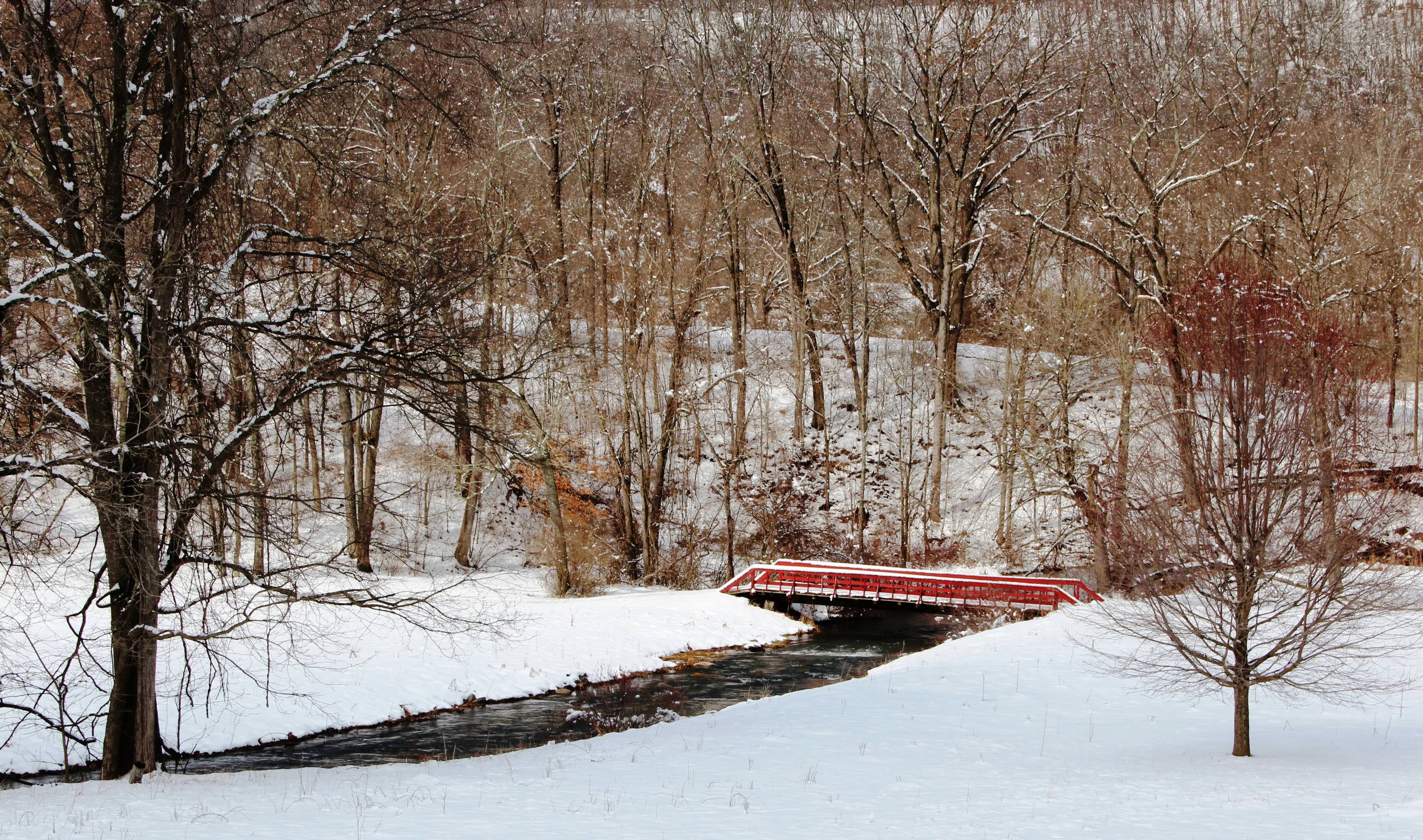 A narrow creek bends between snow covered banks. A red foot bridge spans the water. Tall leafless trees grow along the sides of the creek.