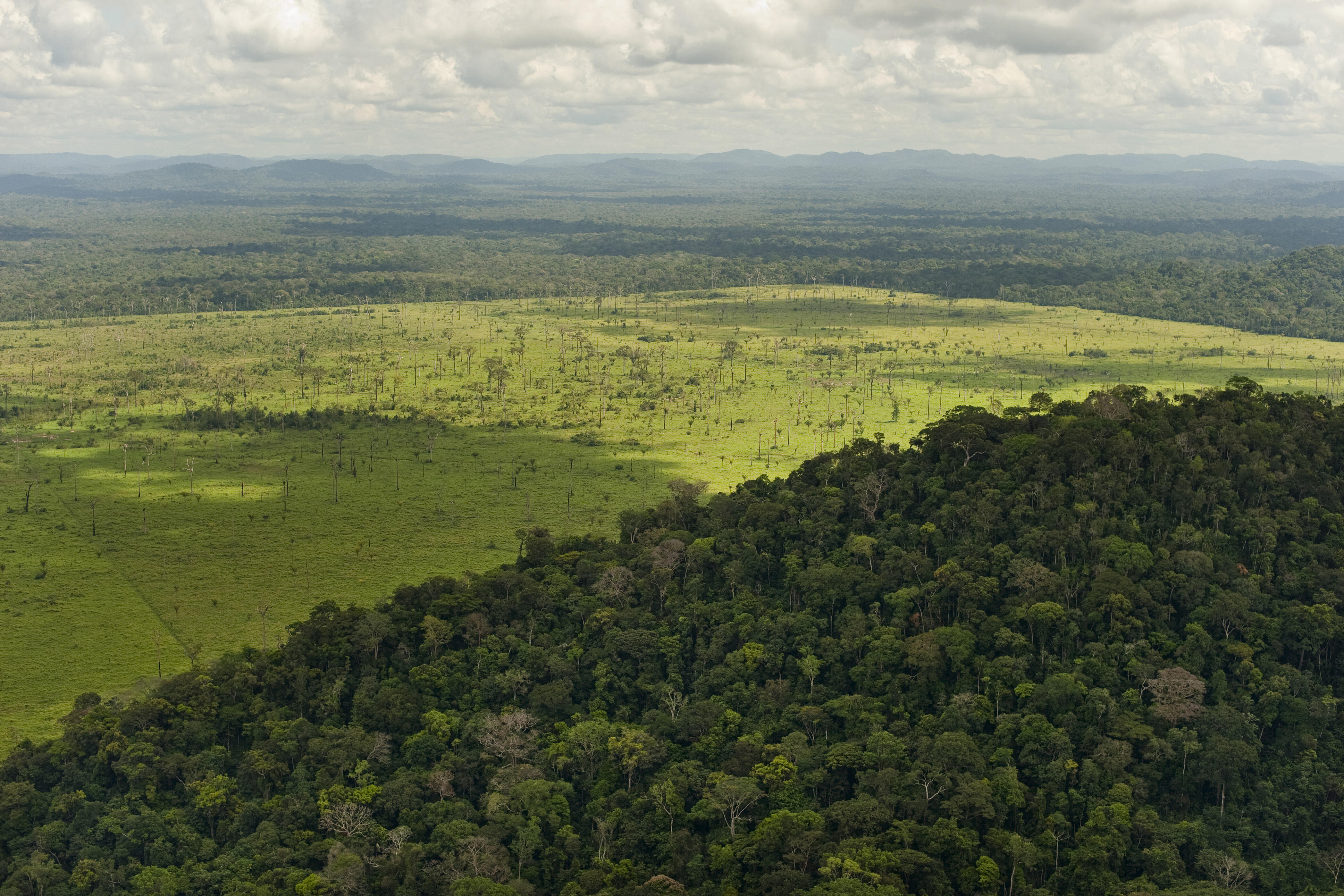 aerial view of Amazon rainforest split in half by an expansive deforested field