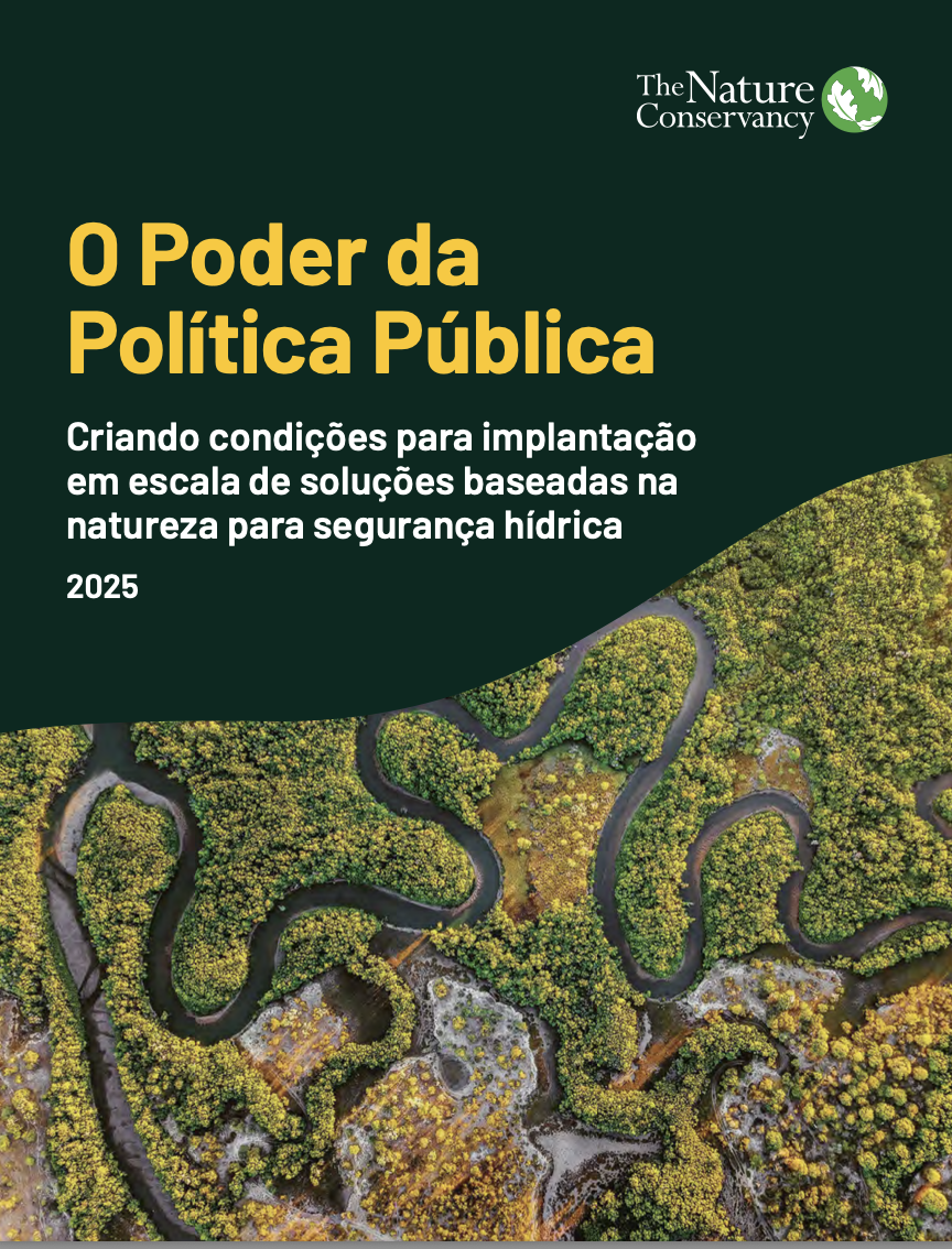 Capa do relatório em português.