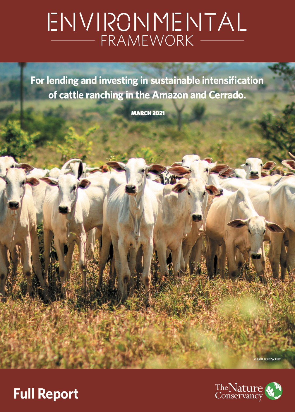 Full report of Environmental Framework for investing in sustainable intensification of cattle ranching in the Amazon and Cerrado.