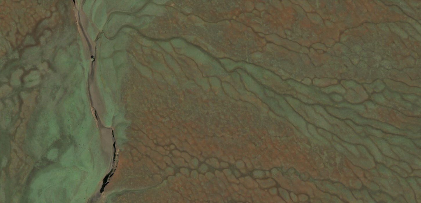 Satellite imagery of non perennial stream and drainages with cattle on a California ranch.