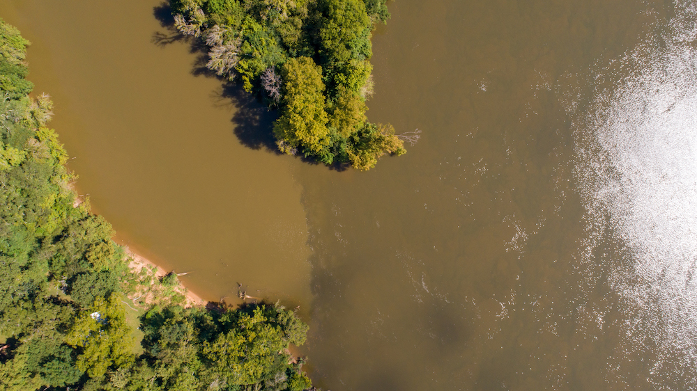 Two rivers converge with discernible line in a forested area.