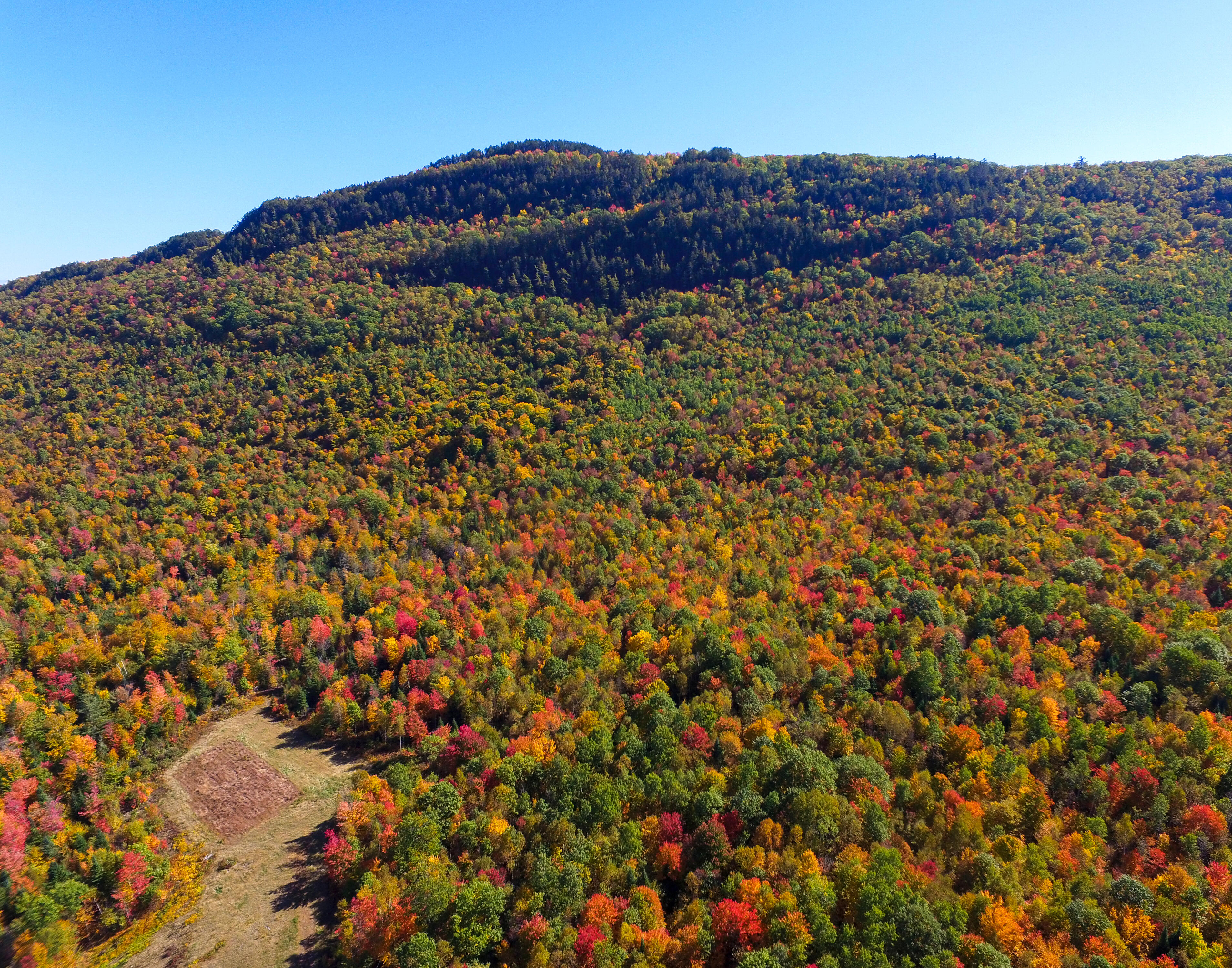 A mountain bursting with fall color.