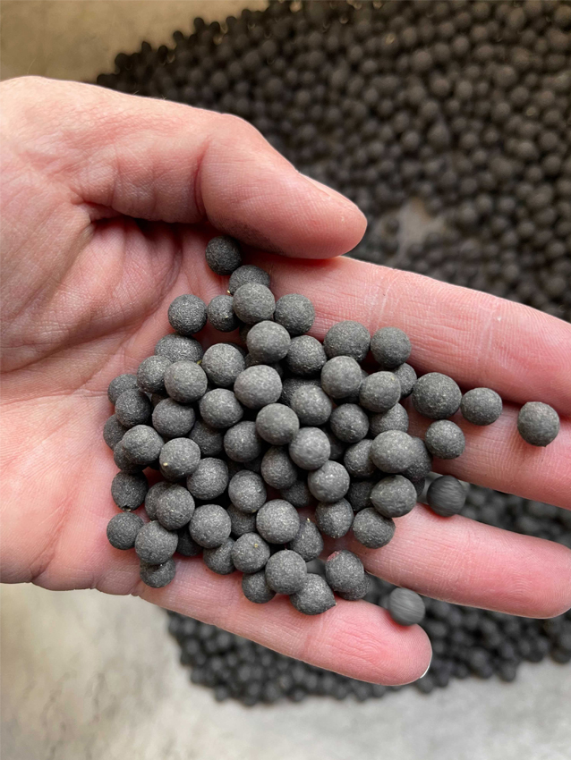 A hand holds many round, black carbon-coated sagebrush seeds.
