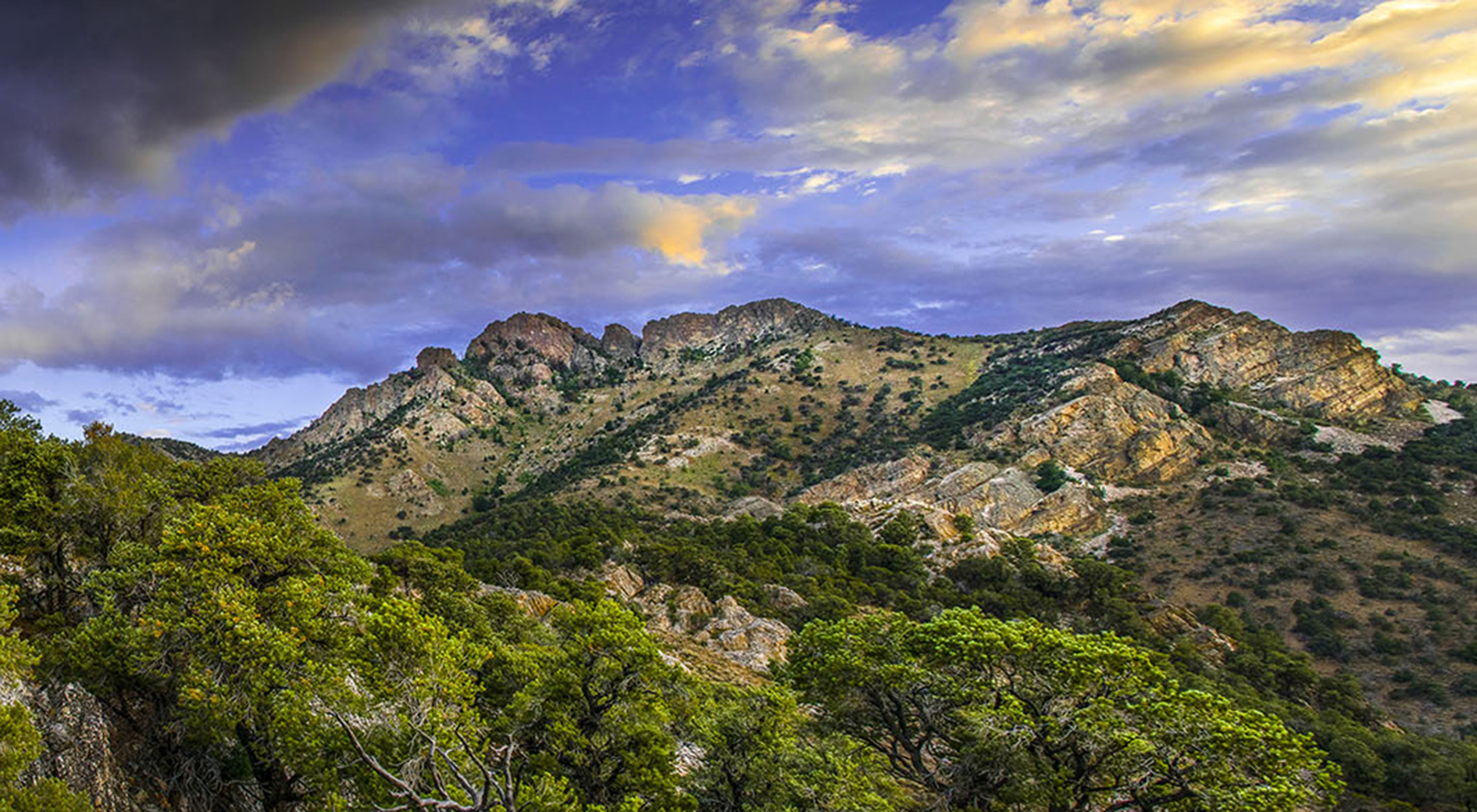 Landscape view of a rocky mountain range with green treetops in the foreground and a dramatic cloudy sky overhead.
