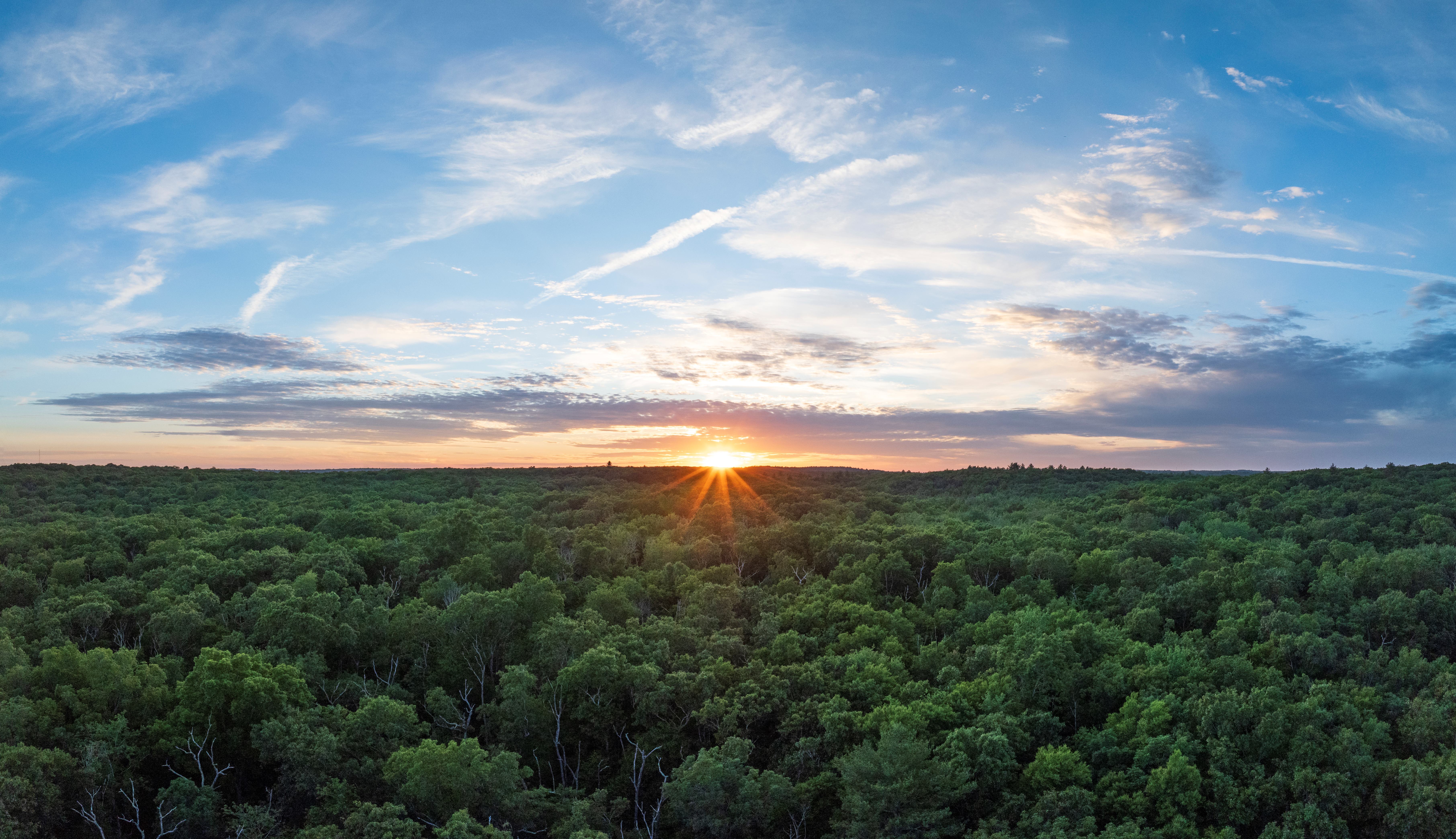 The sun drops below a lush, green, forested horizon with blue skies above.