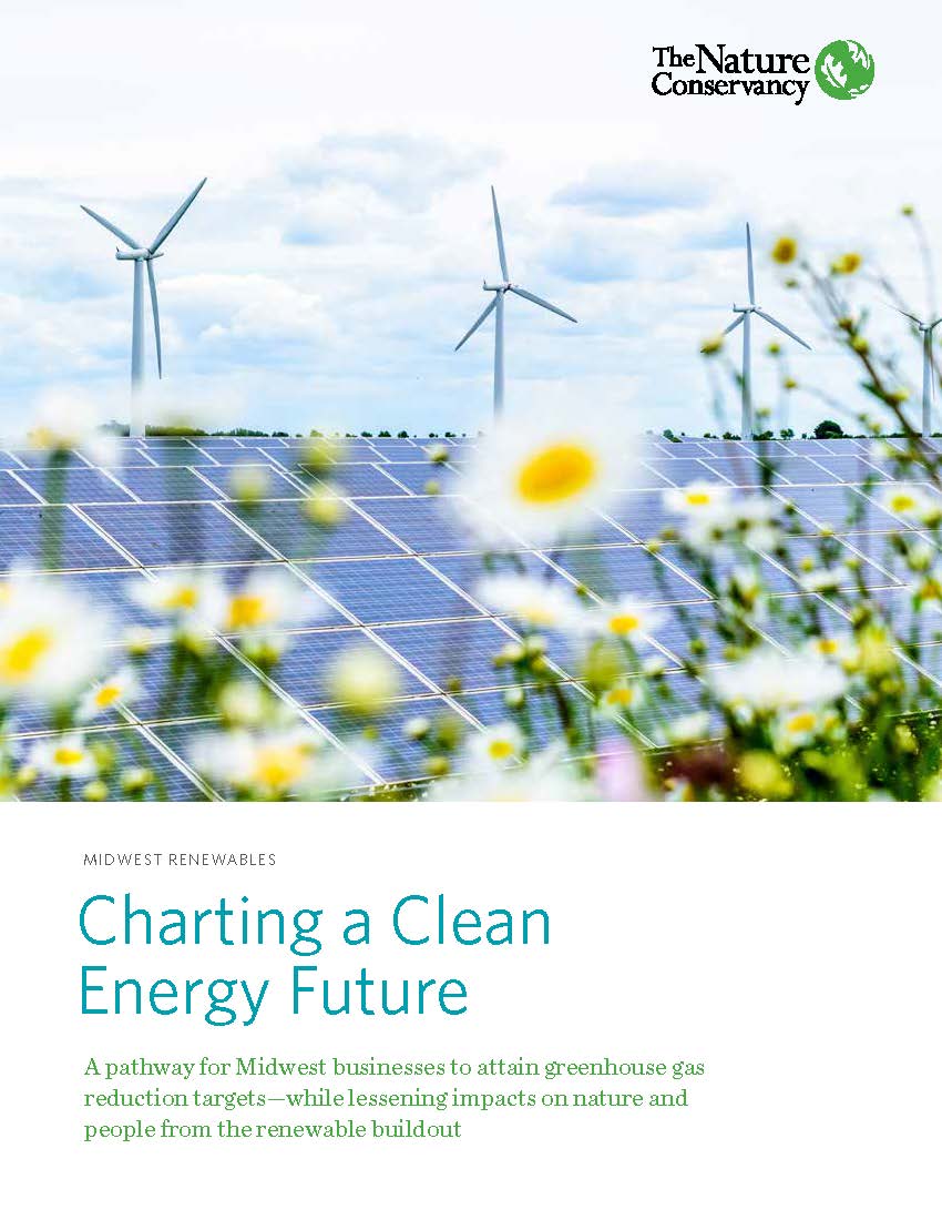 report cover image showing image of daisies growing in front of solar panels and wind turbines.