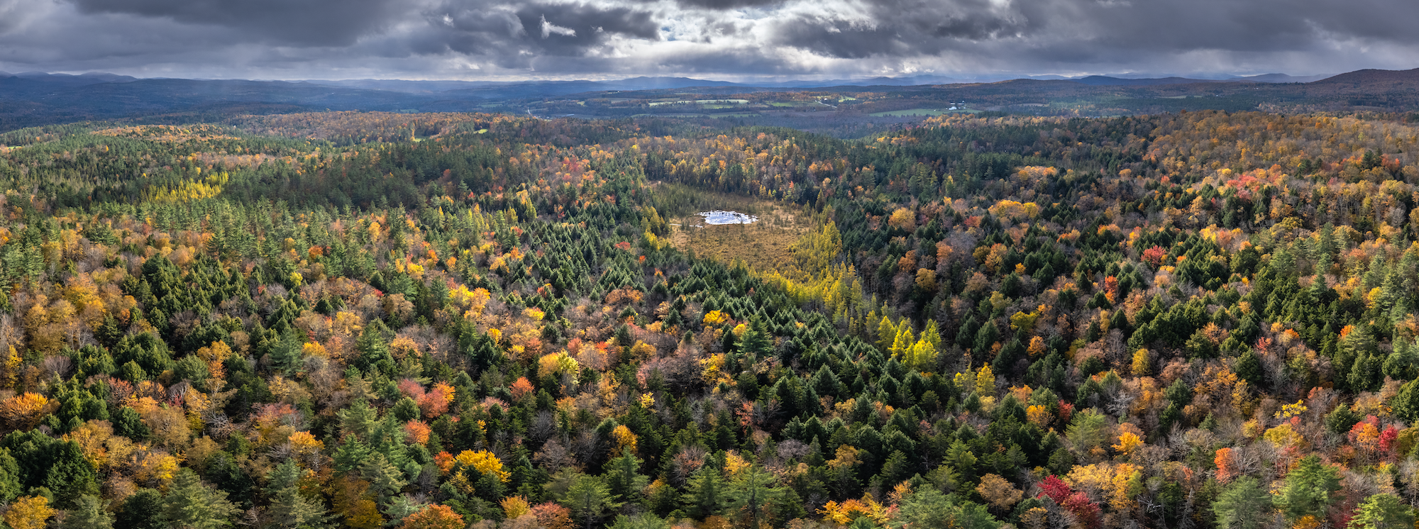 Aerial view of a vast forest filled with autumn-colored trees and a small lake in the center of it.