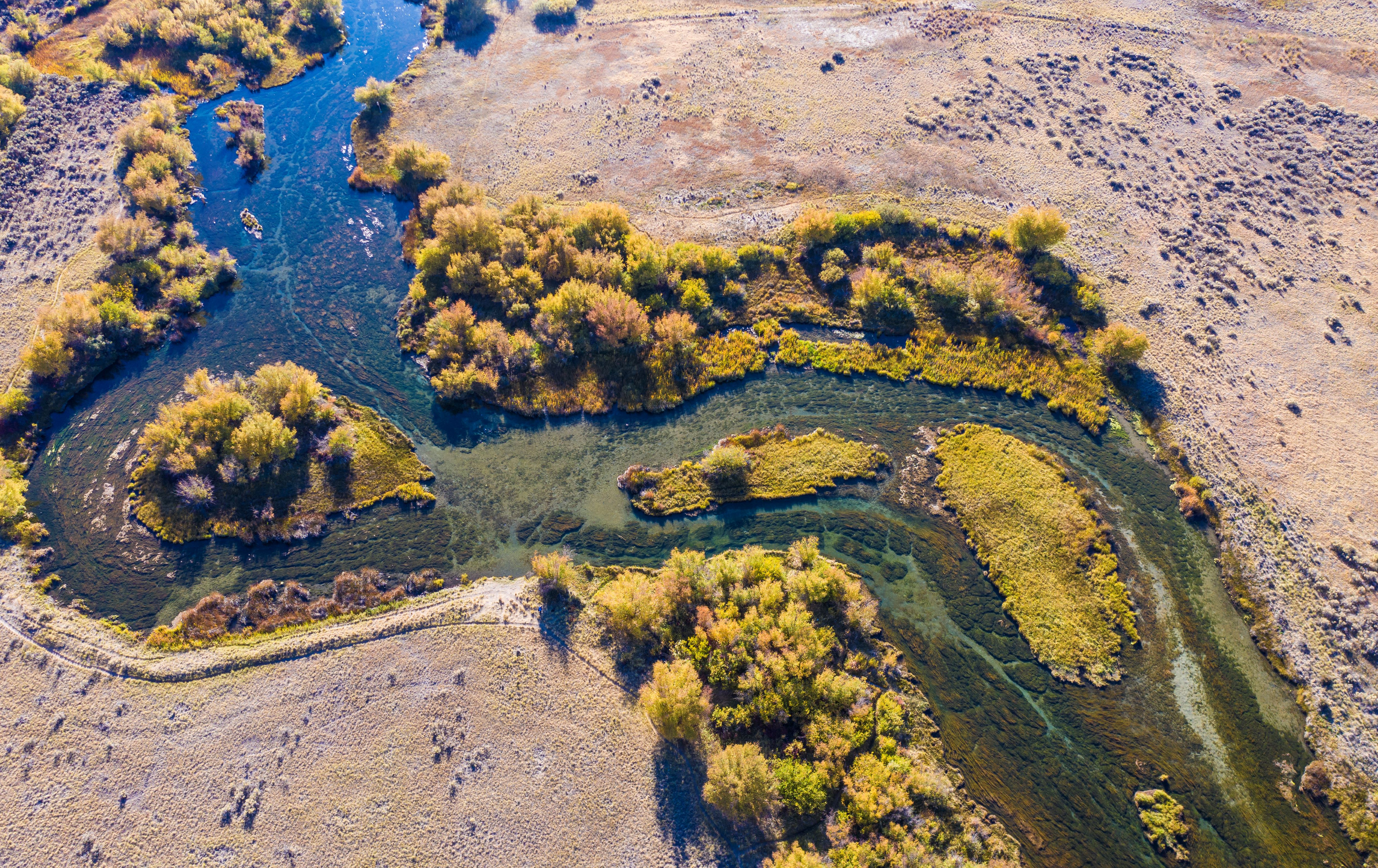 Aerial image of stream with clear water and trees along the banks.