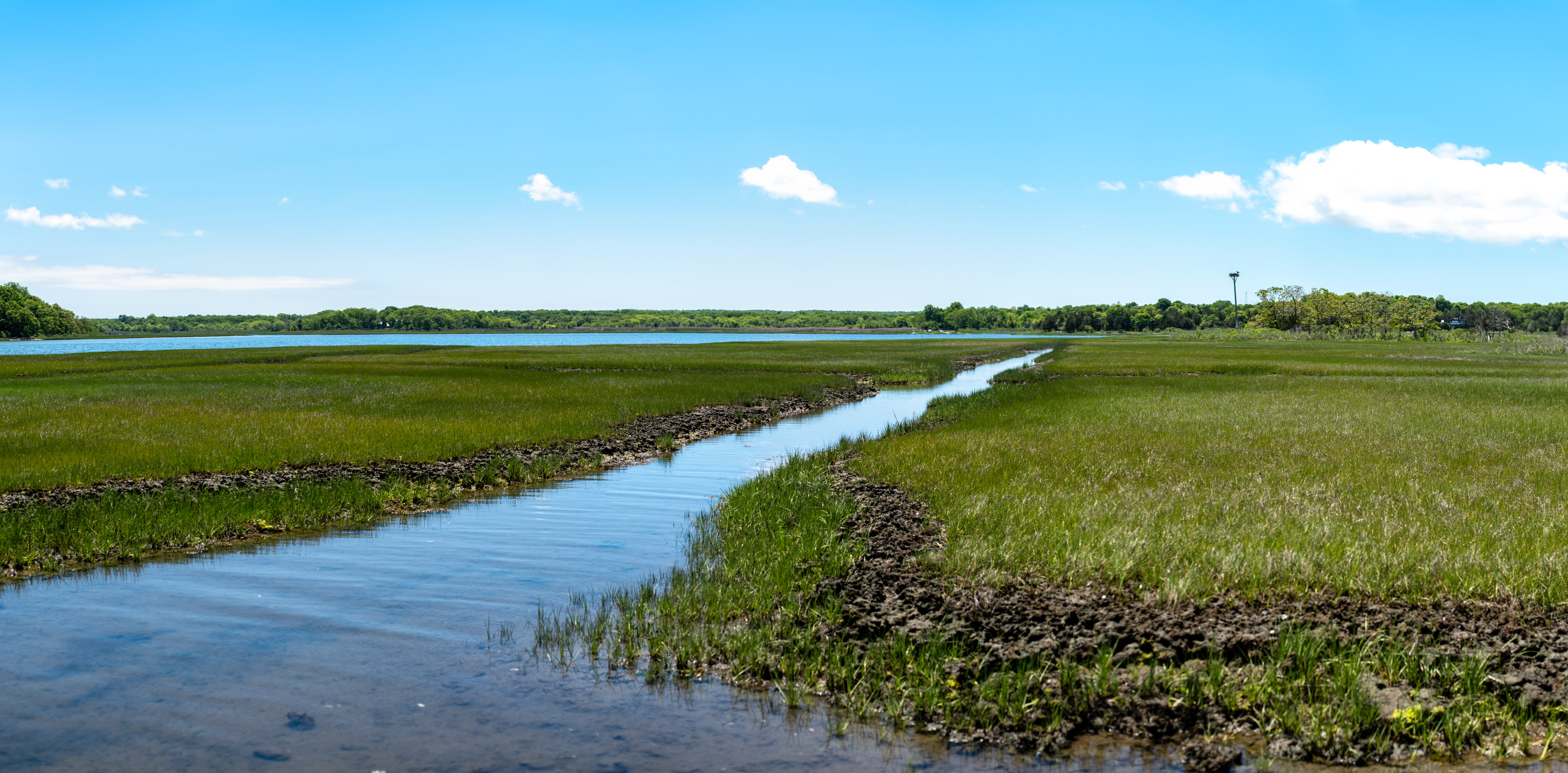 A narrow stream meanders through a bright green salt marsh under blue skies with scattered clouds.