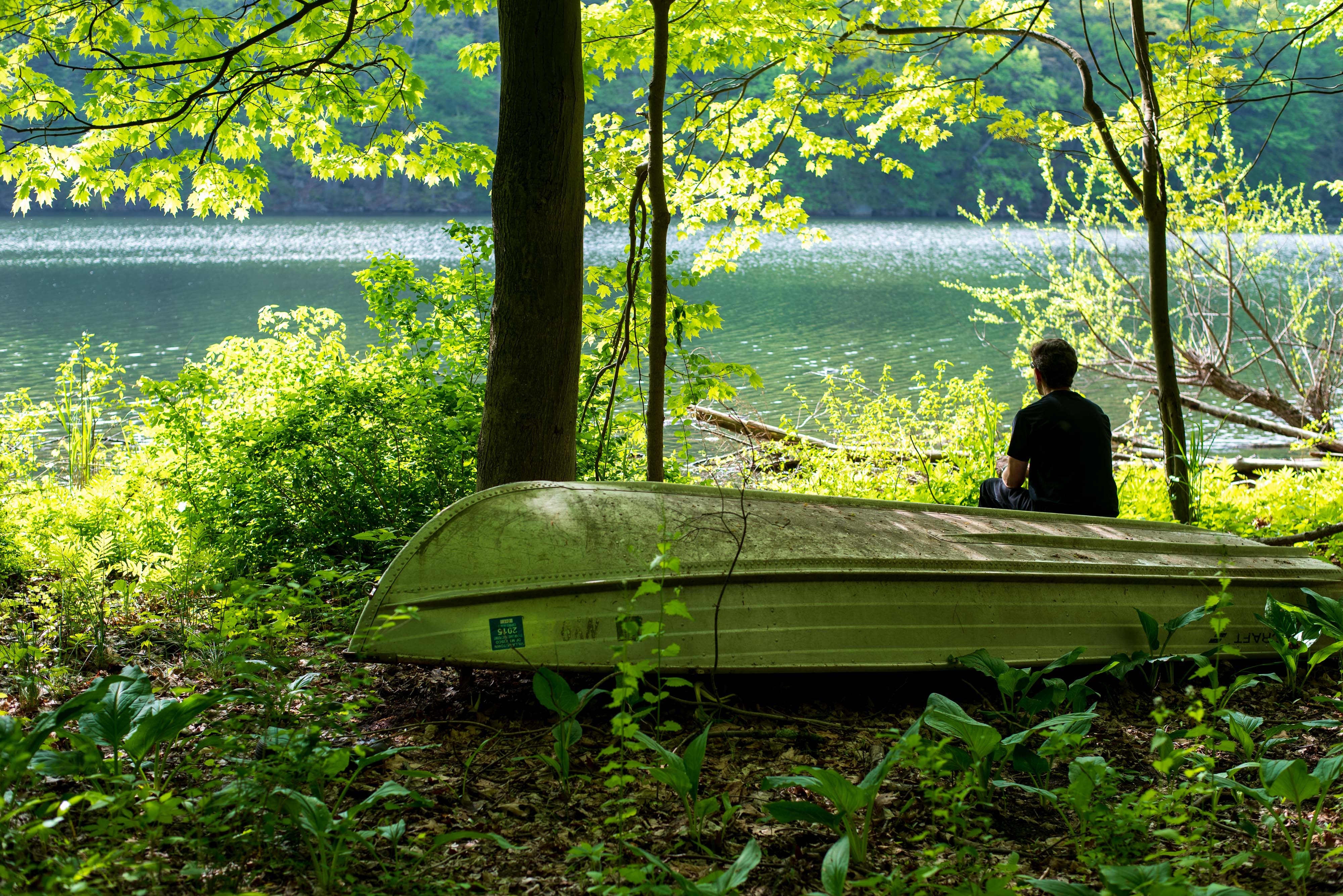 A man with his back turned sitting at looking at water surrounded by greenery. 