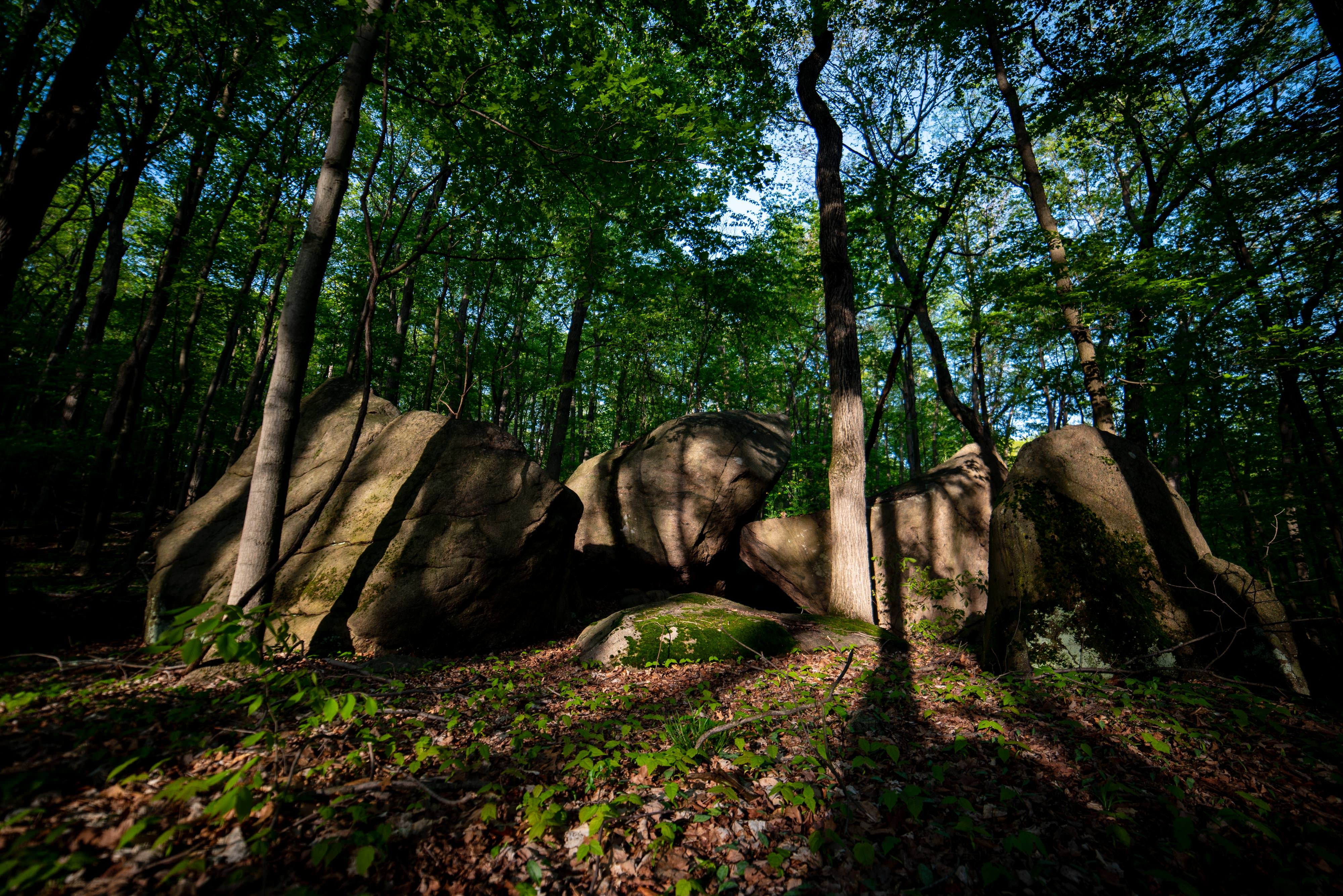 Shadows cast over boulders and a few trees.