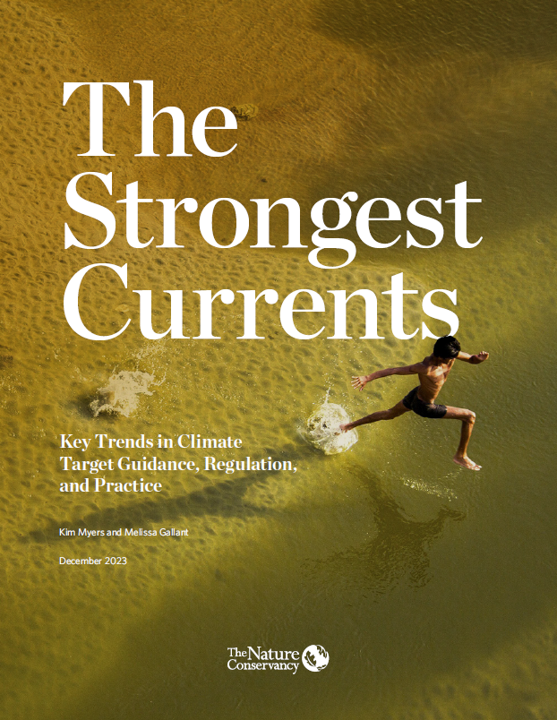 The Strongest Currents cover.