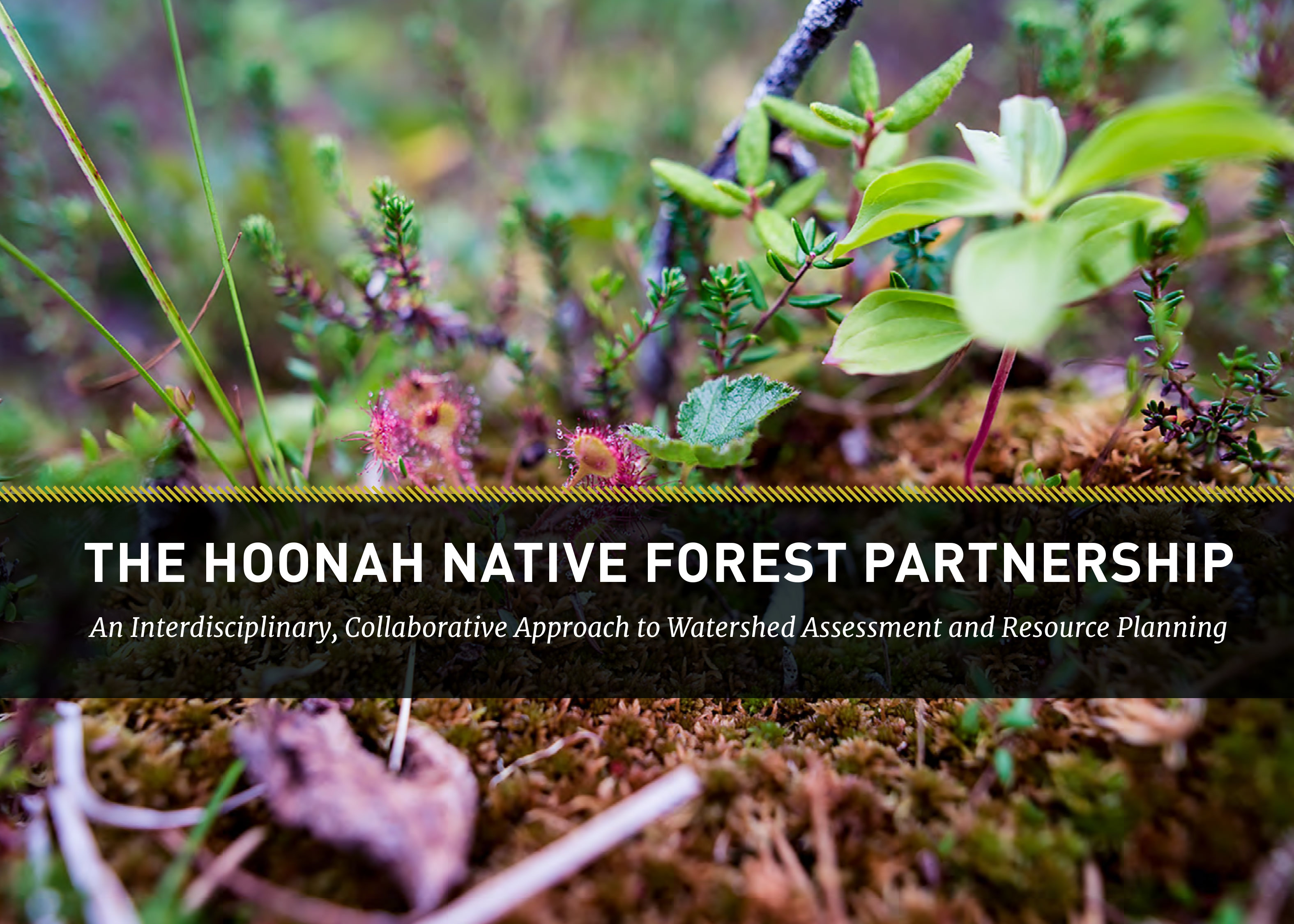 Cover of the Hoonah Native Forest Partnership report.