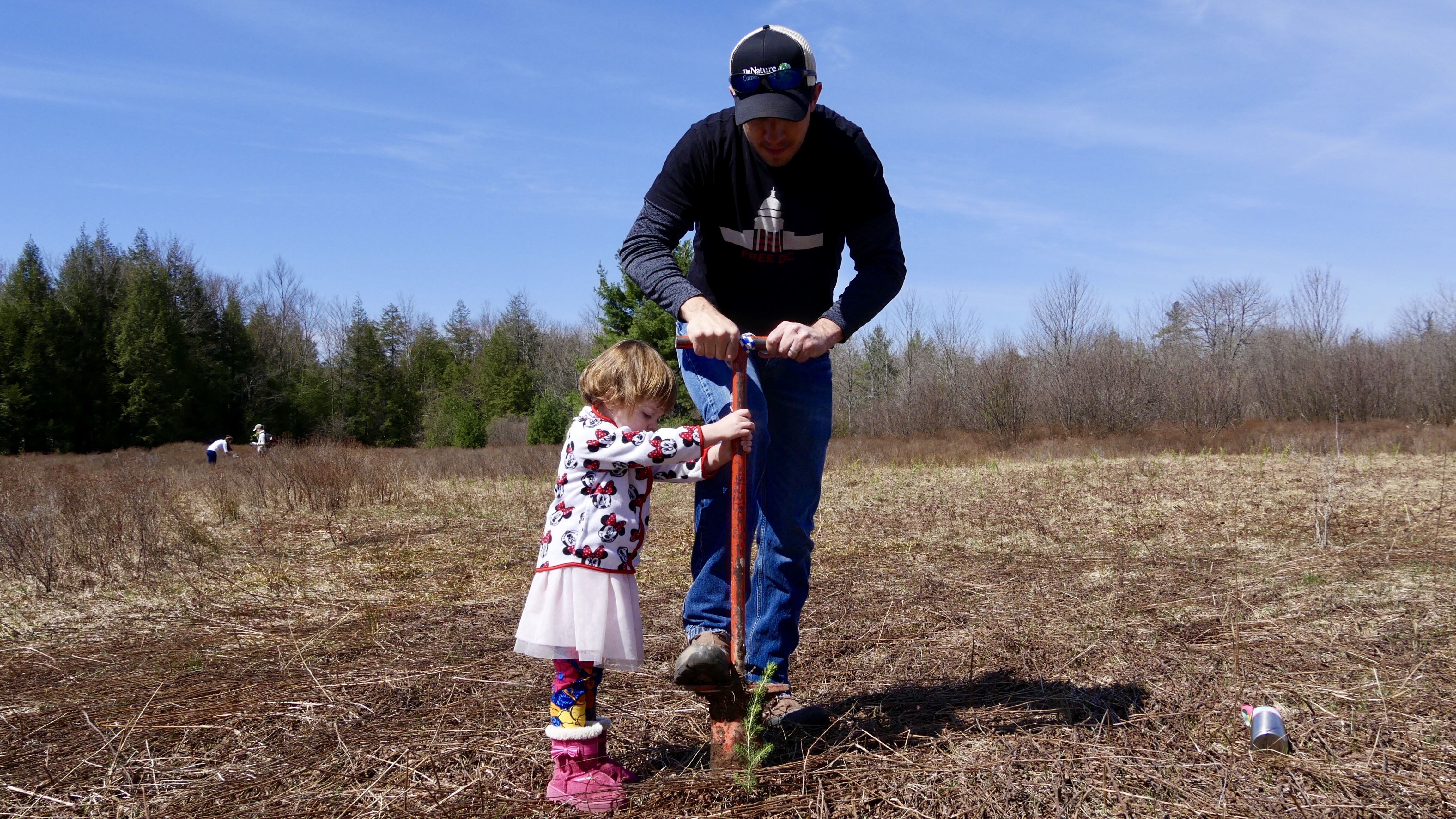 A man helps a young girl use a dibble tool to plant a tree seedling.