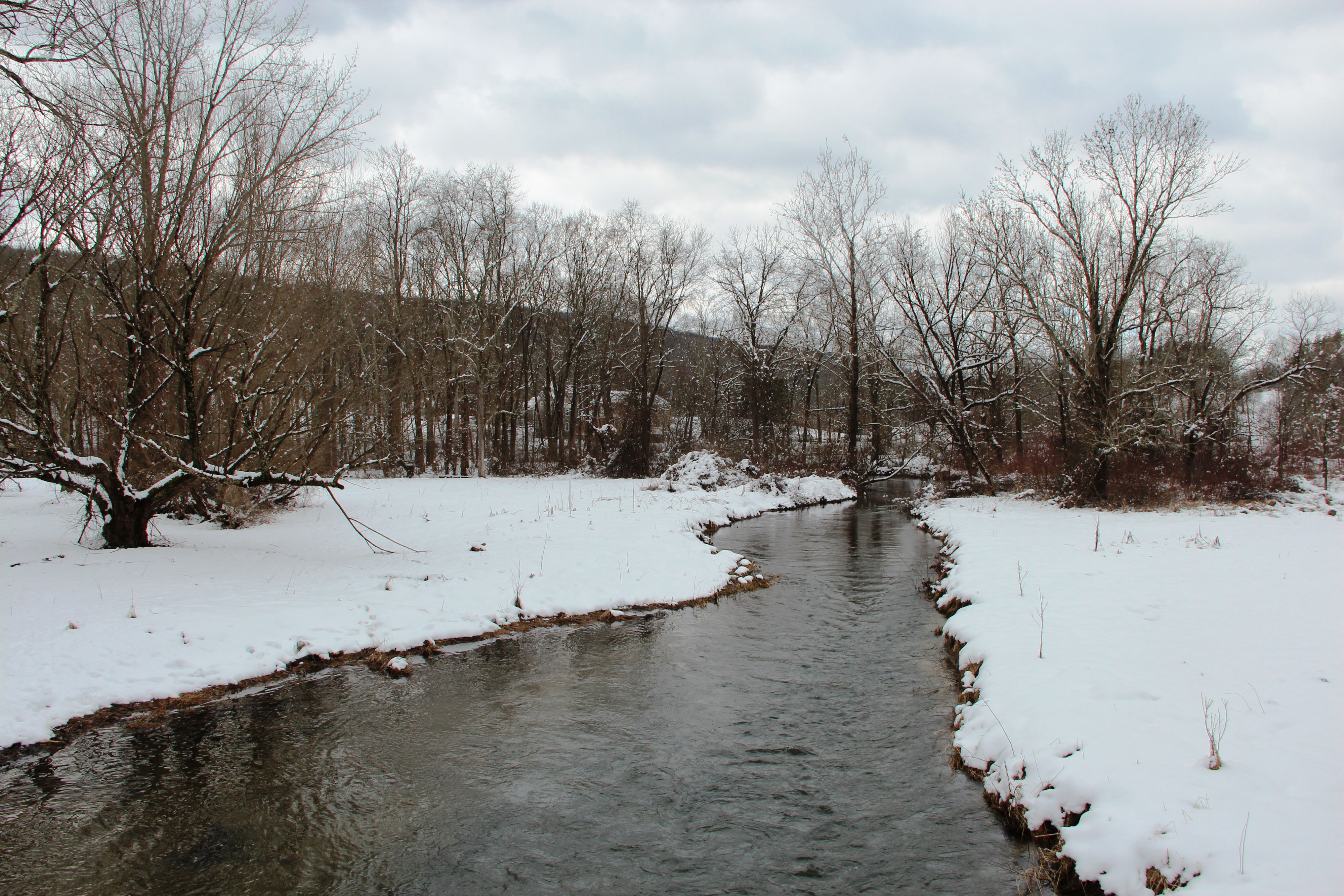 A wide creek flows between snow covered banks. A mountain ridge is visible in the background behind a row of tall leafless trees. Heavy clouds hang low in the sky.