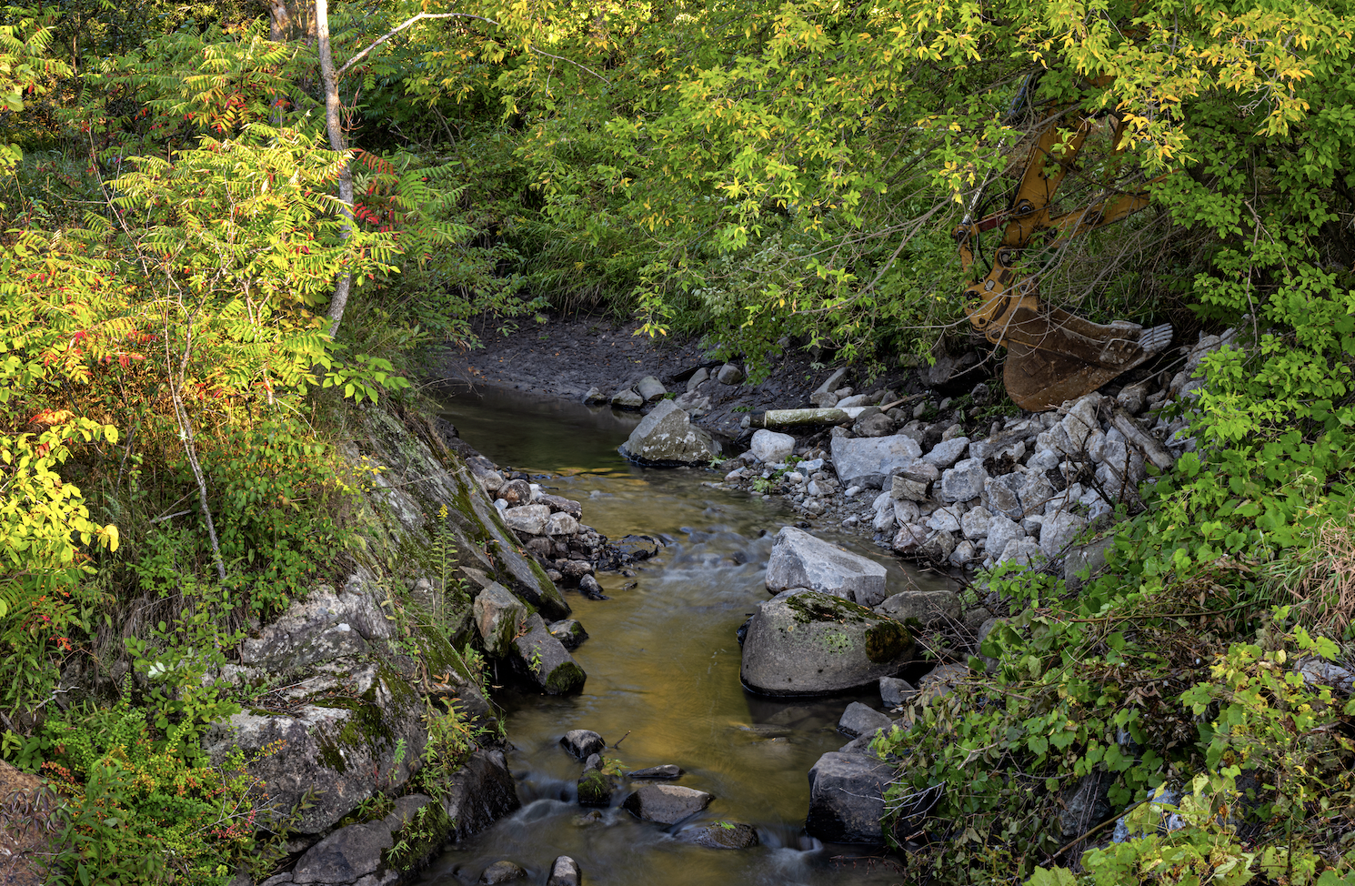 A photo of the confluence of Cold Brook and the North Branch of the Boquet River