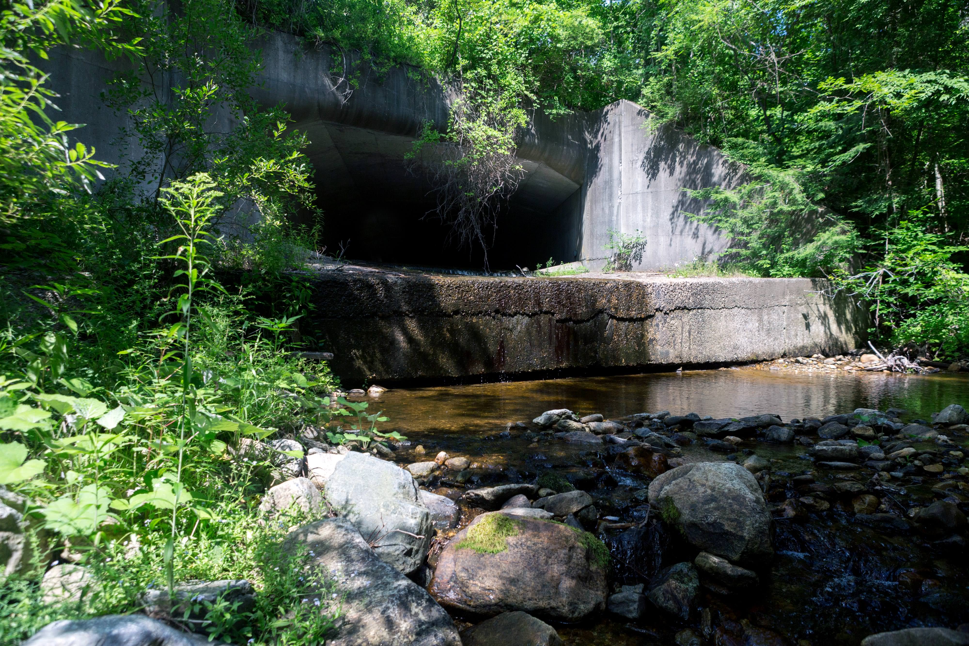 A large concrete culvert underneath Interstate 90 in Western Massachusetts, surrounded by trees and brush.