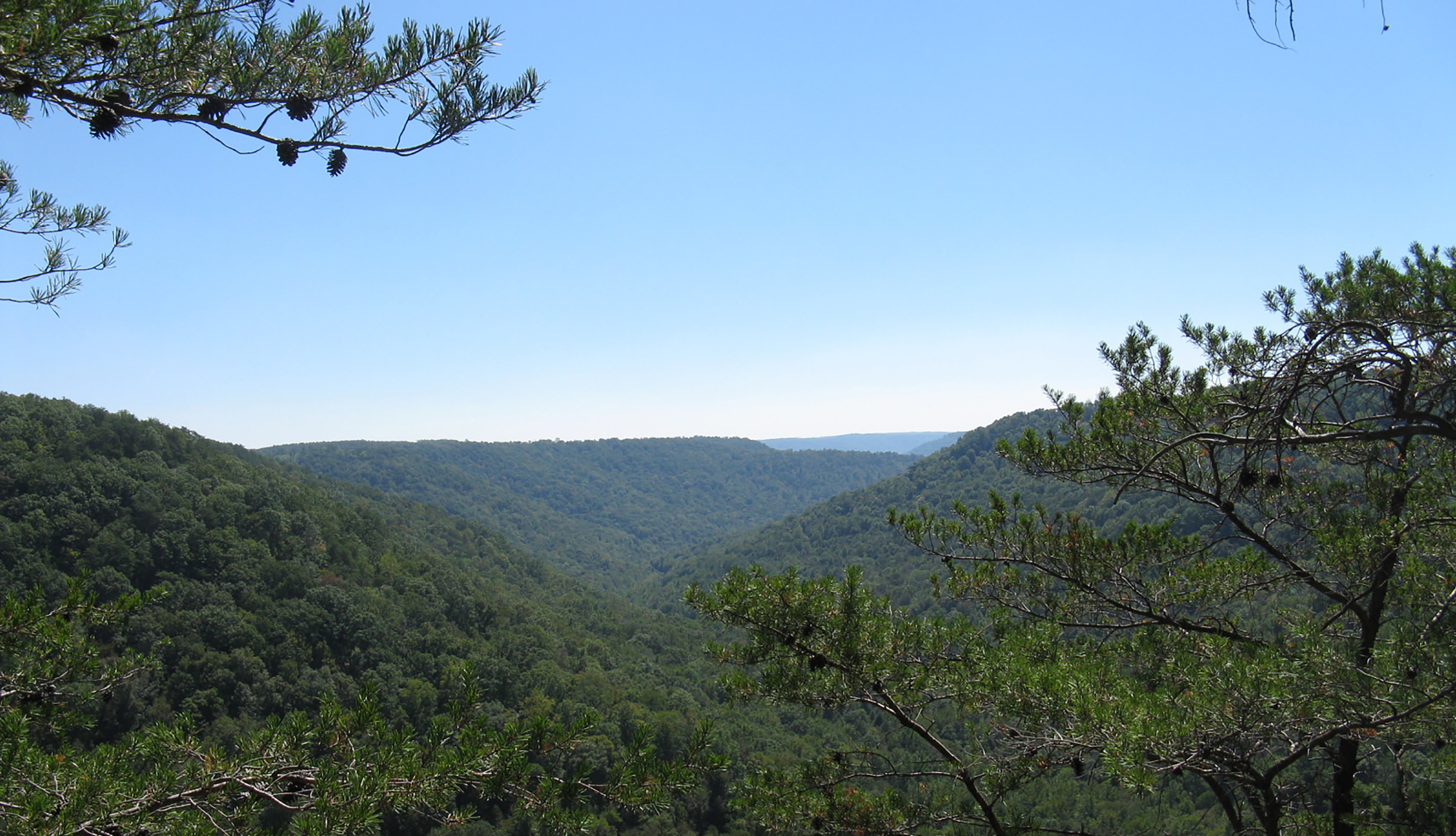 Green trees blanket a mountain valley under a crisp blue sky.