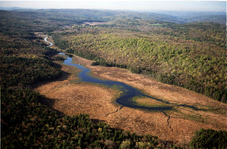 Aerial view of a river winding and branching through a forest landscape
