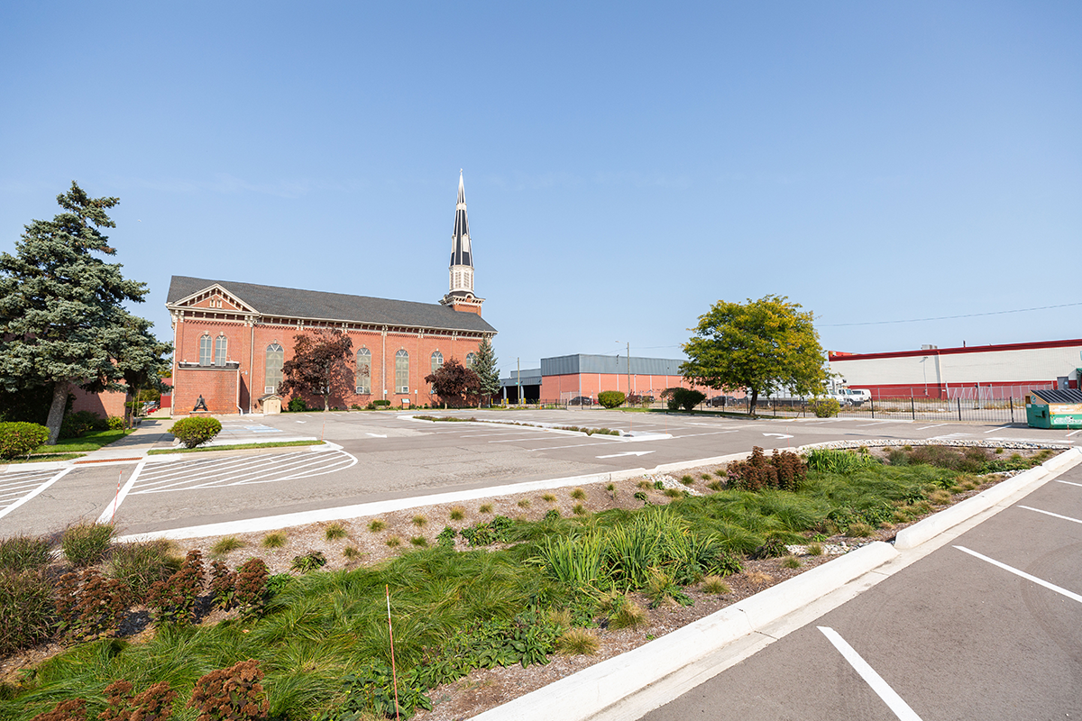 Plants growing in a green stormwater space in a parking lot. Church in background.