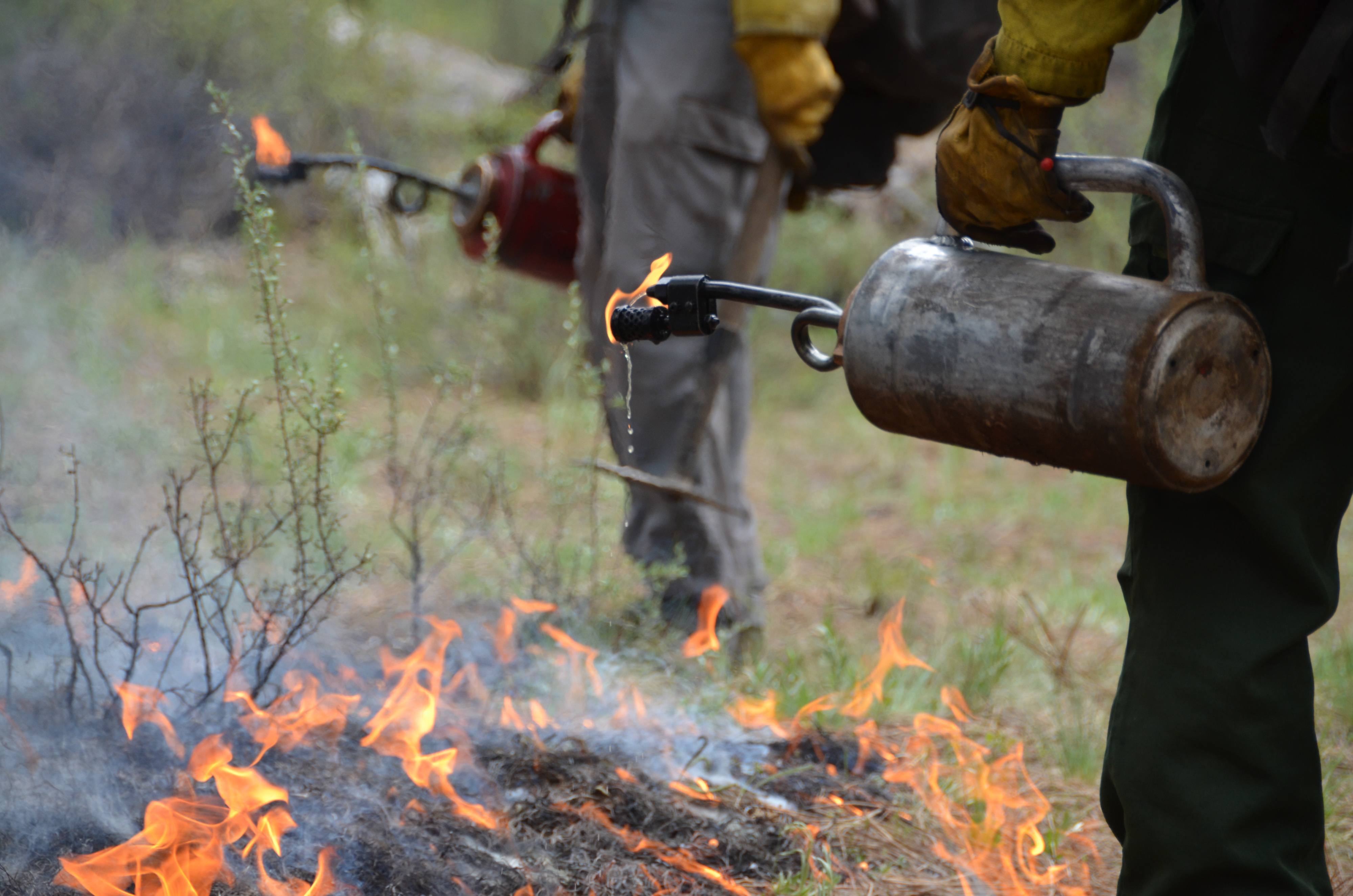 Controlled burn in Oregon.