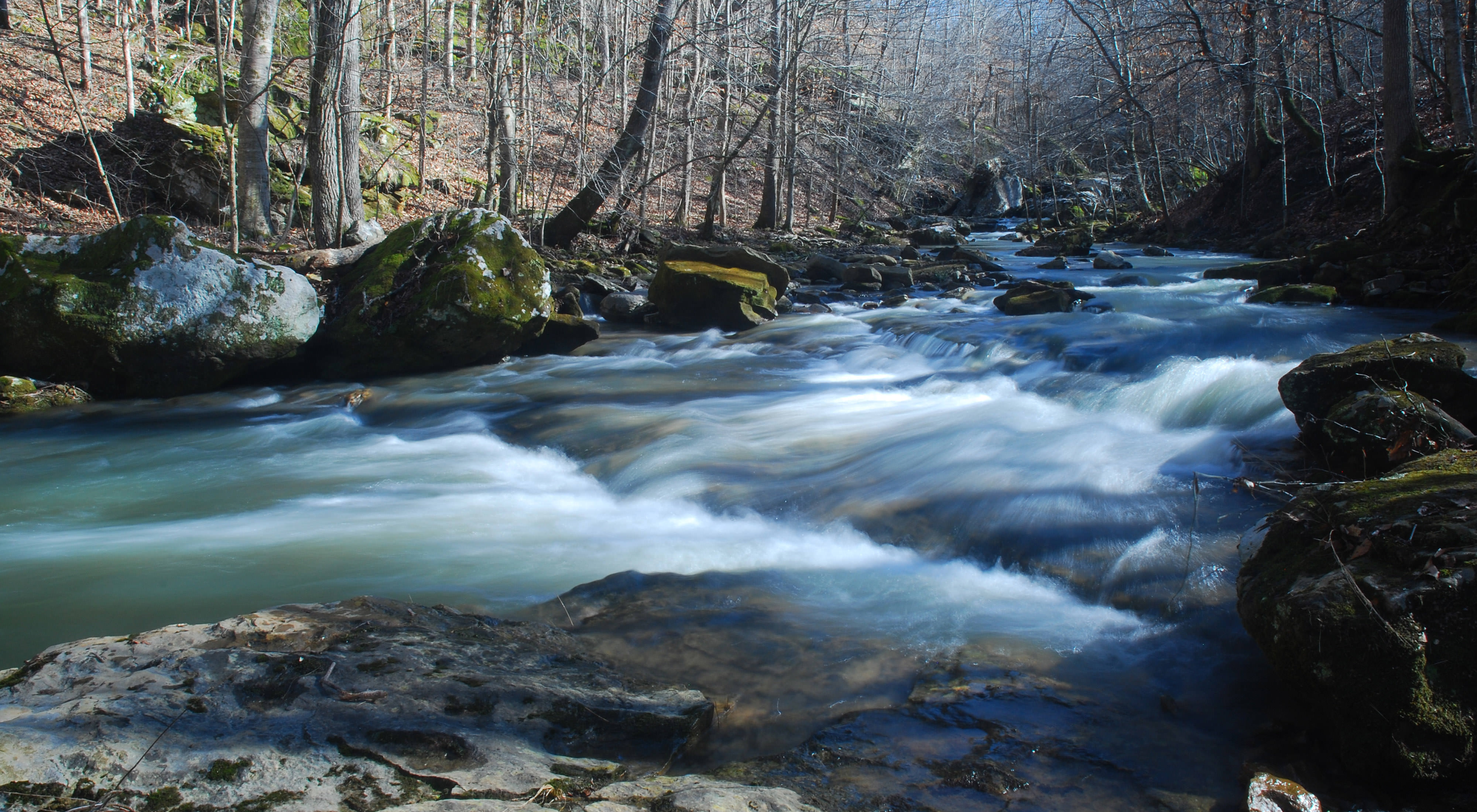 Visitors canoe down the Buffalo River.