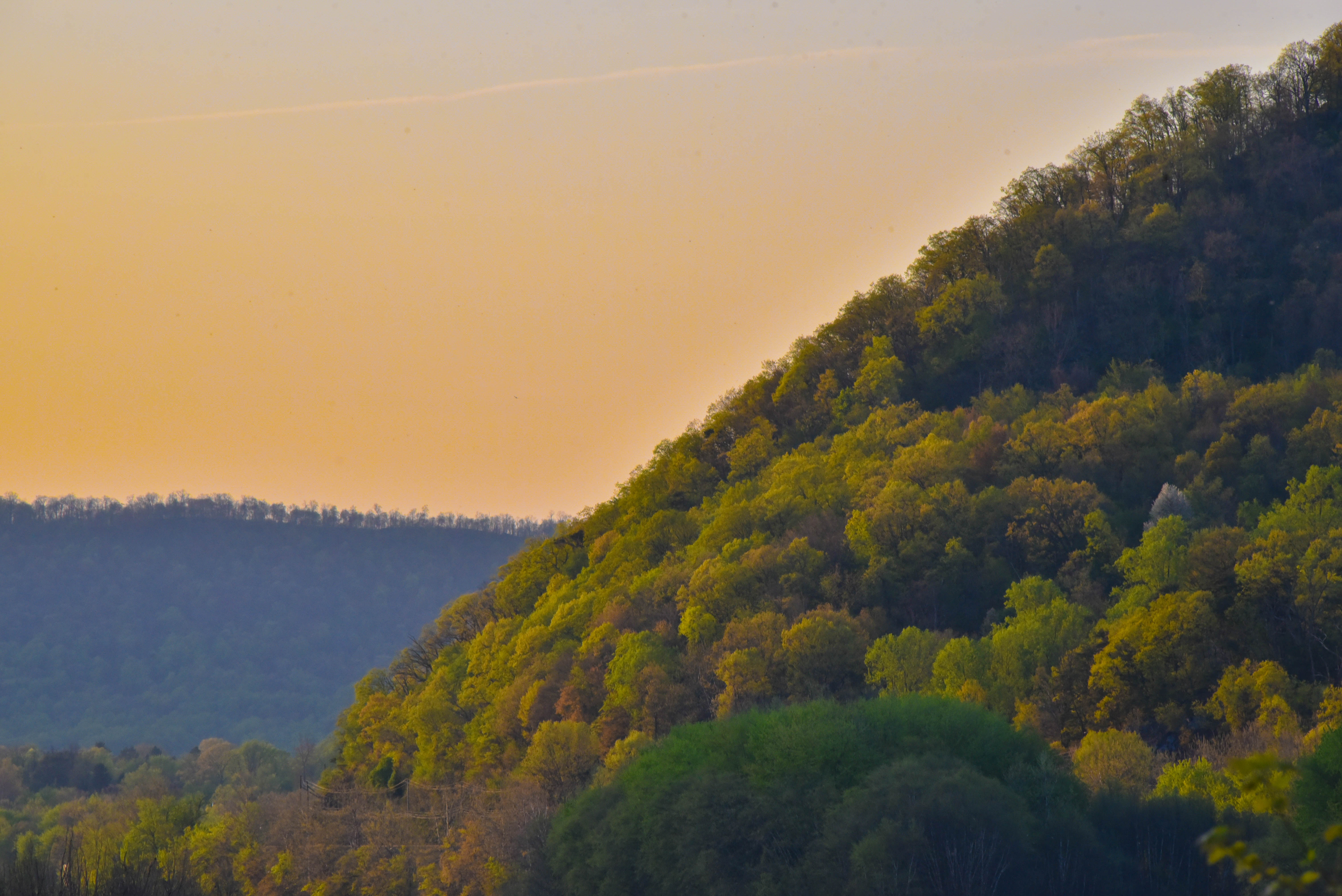 A close up of a mountain covered in green trees against an orange sky.