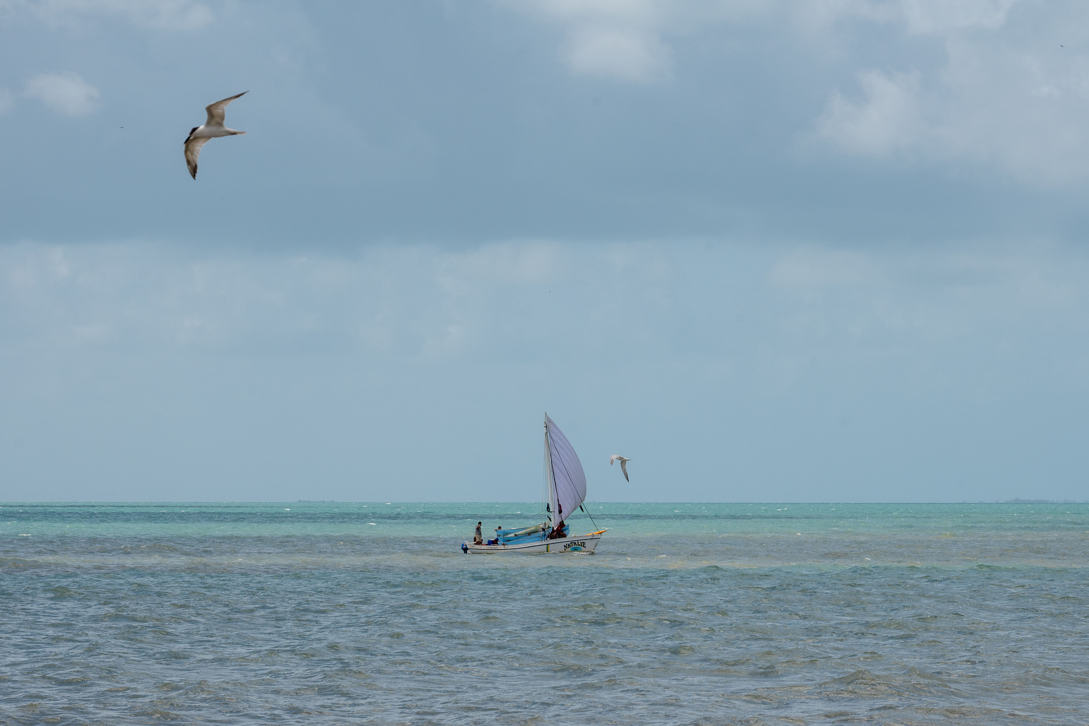 A small canoe with a sail floats on a tropical ocean.