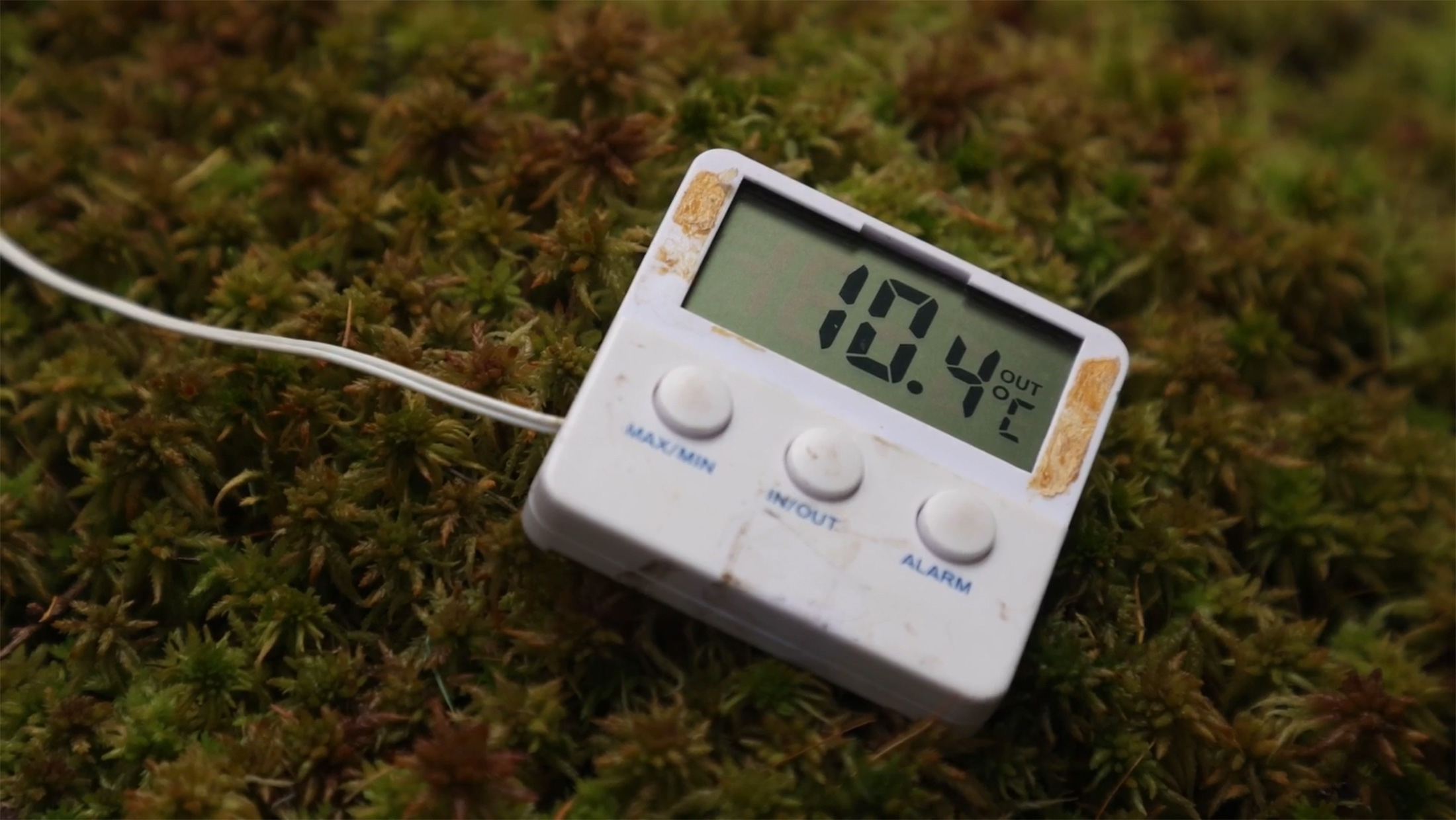 Emissions monitoring equipment resting on a bed of sphagnum moss.