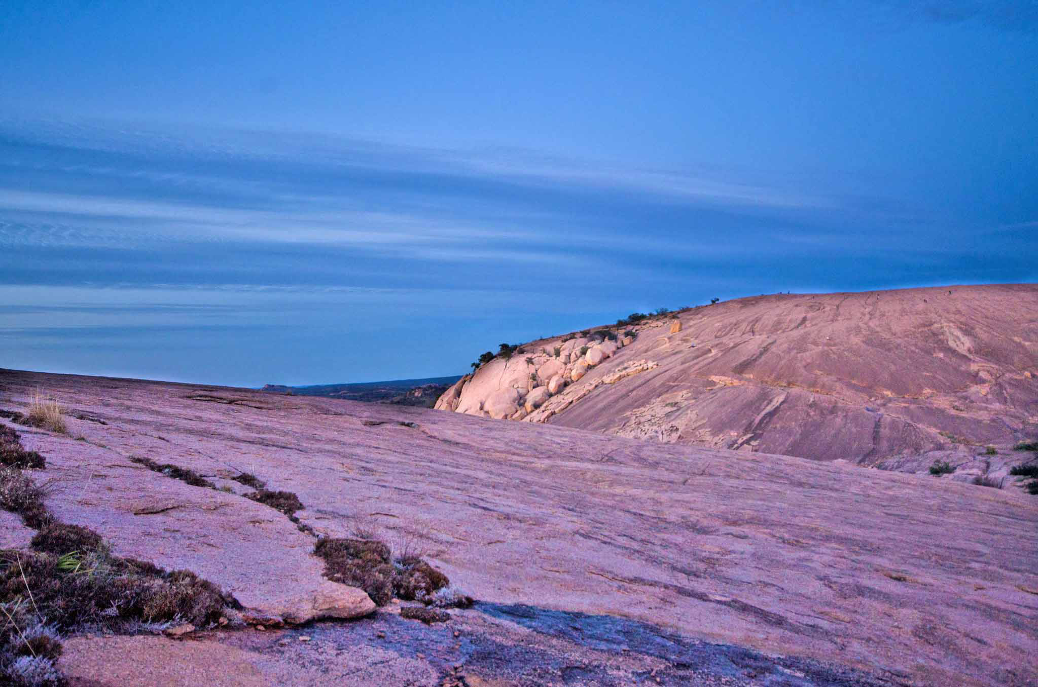 Pink colored rocks dotted with green shrubs at sunset.