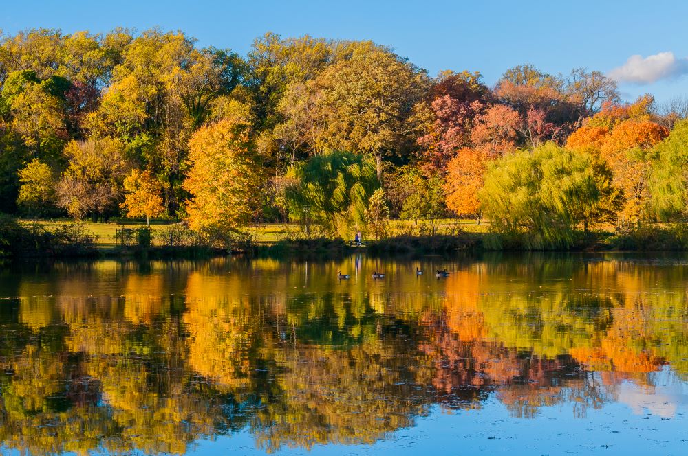 A view of a body of water surrounded by trees with orange and yellow leaves.