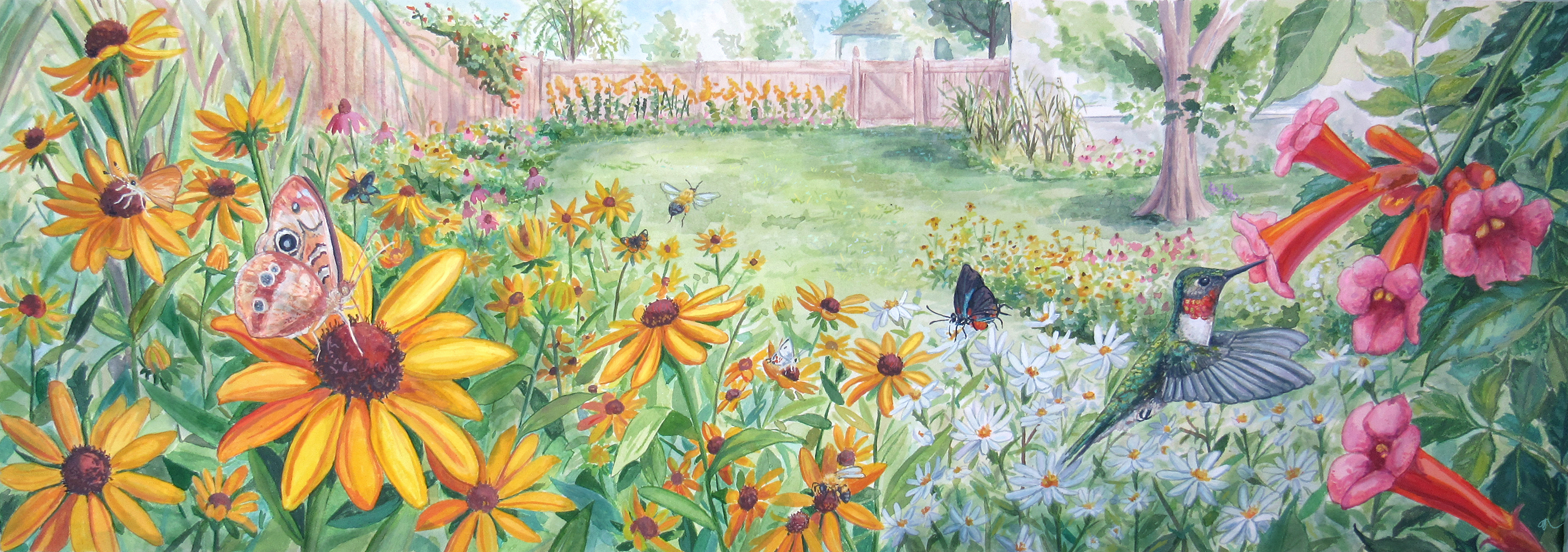 Watercolor illustration showing a backyard garden of native plants. A brown butterfly sits on a yellow flower in the left foreground. A ruby-throated hummingbird hovers next to a flower on the right.