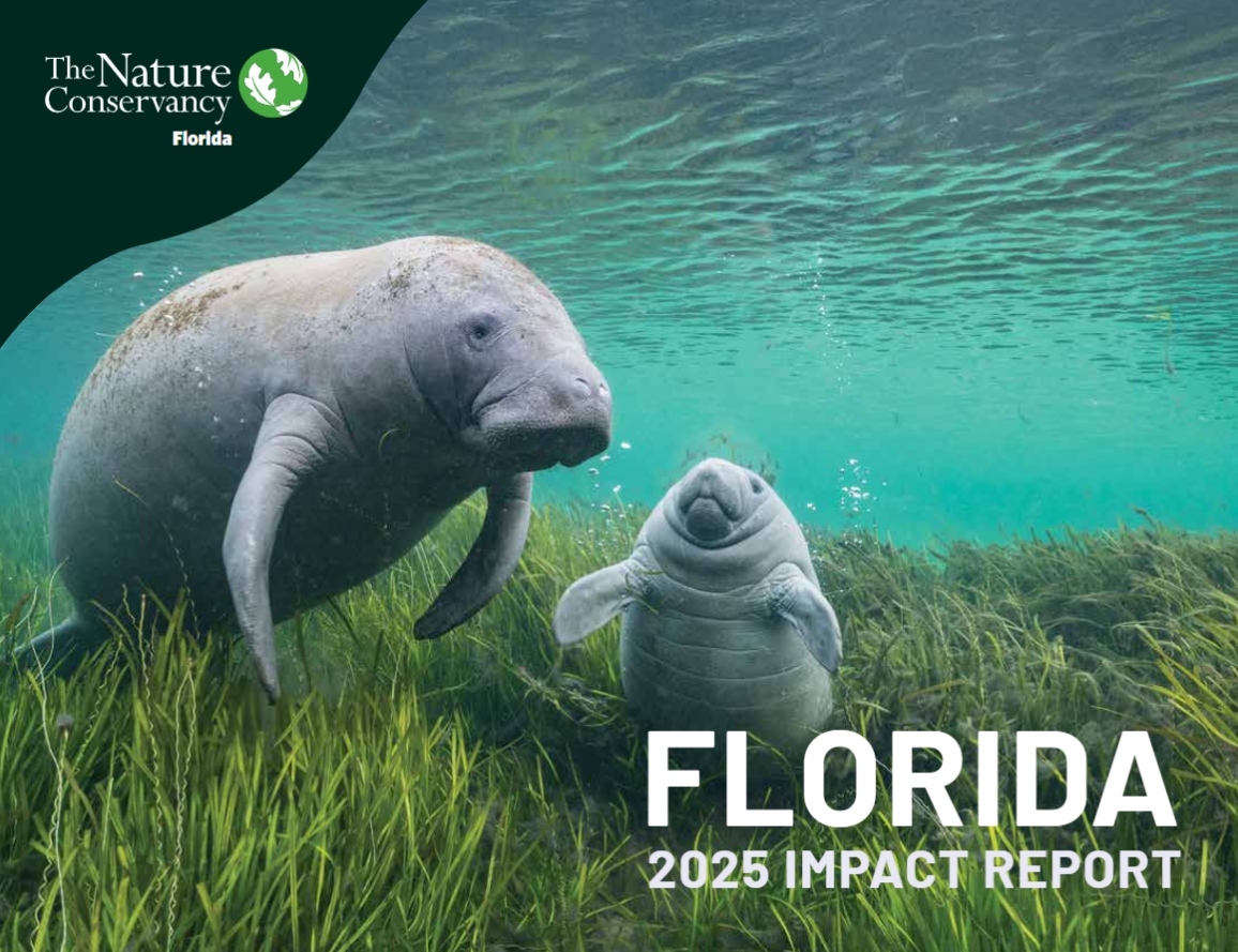 Cover of the Florida 2025 Impact Report, featuring two 
