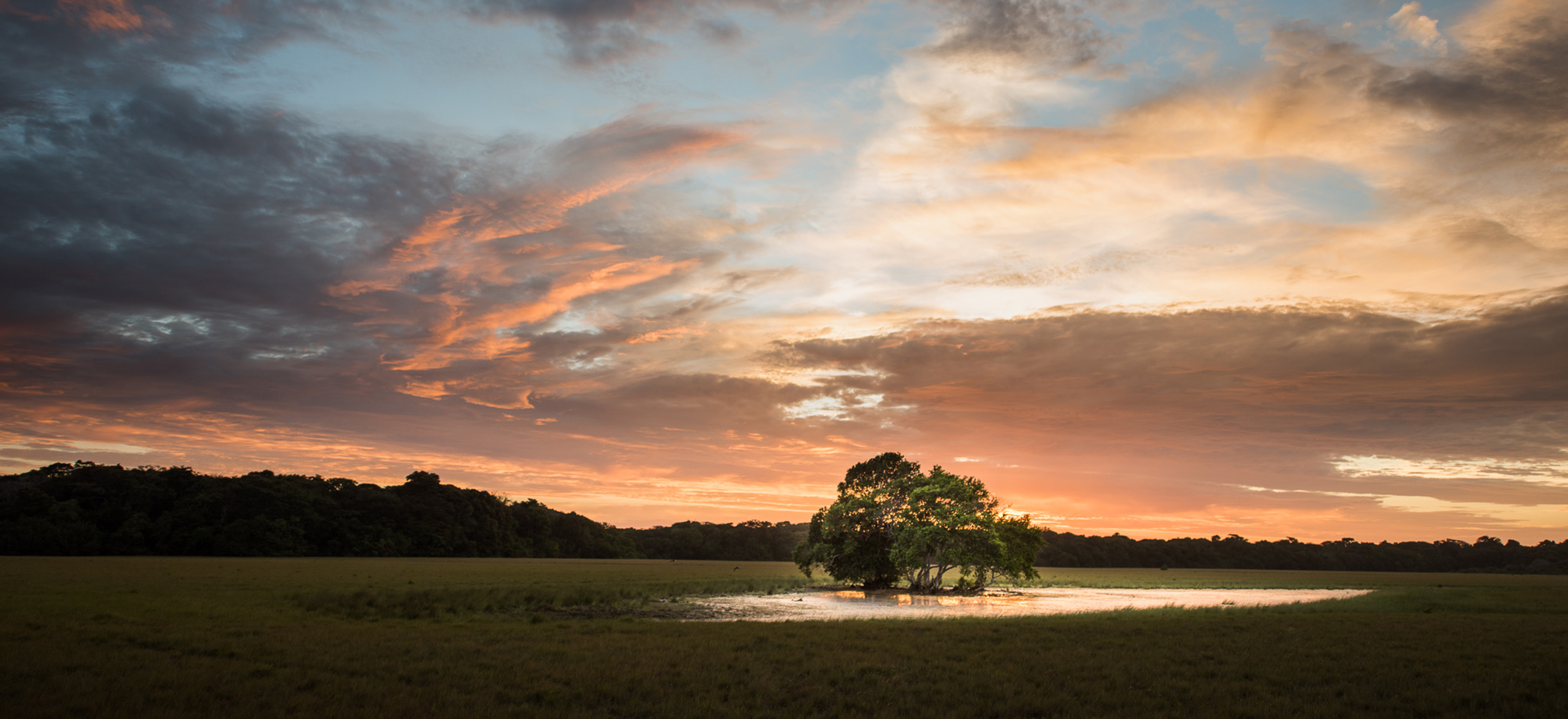The sun sets over a lone tree in the center of a lagoon