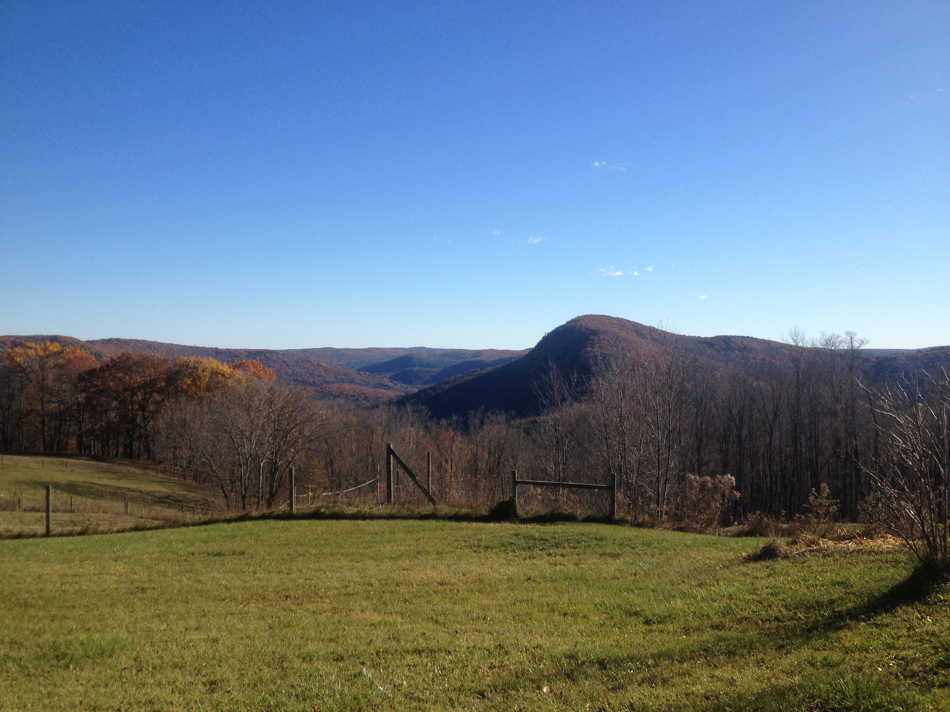 Pastures with trees in the foreground, with autumnal tree-covered mountains rising against a blue sky.