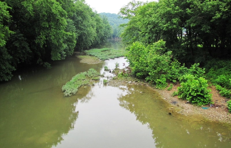 A calm river flows through a forest.