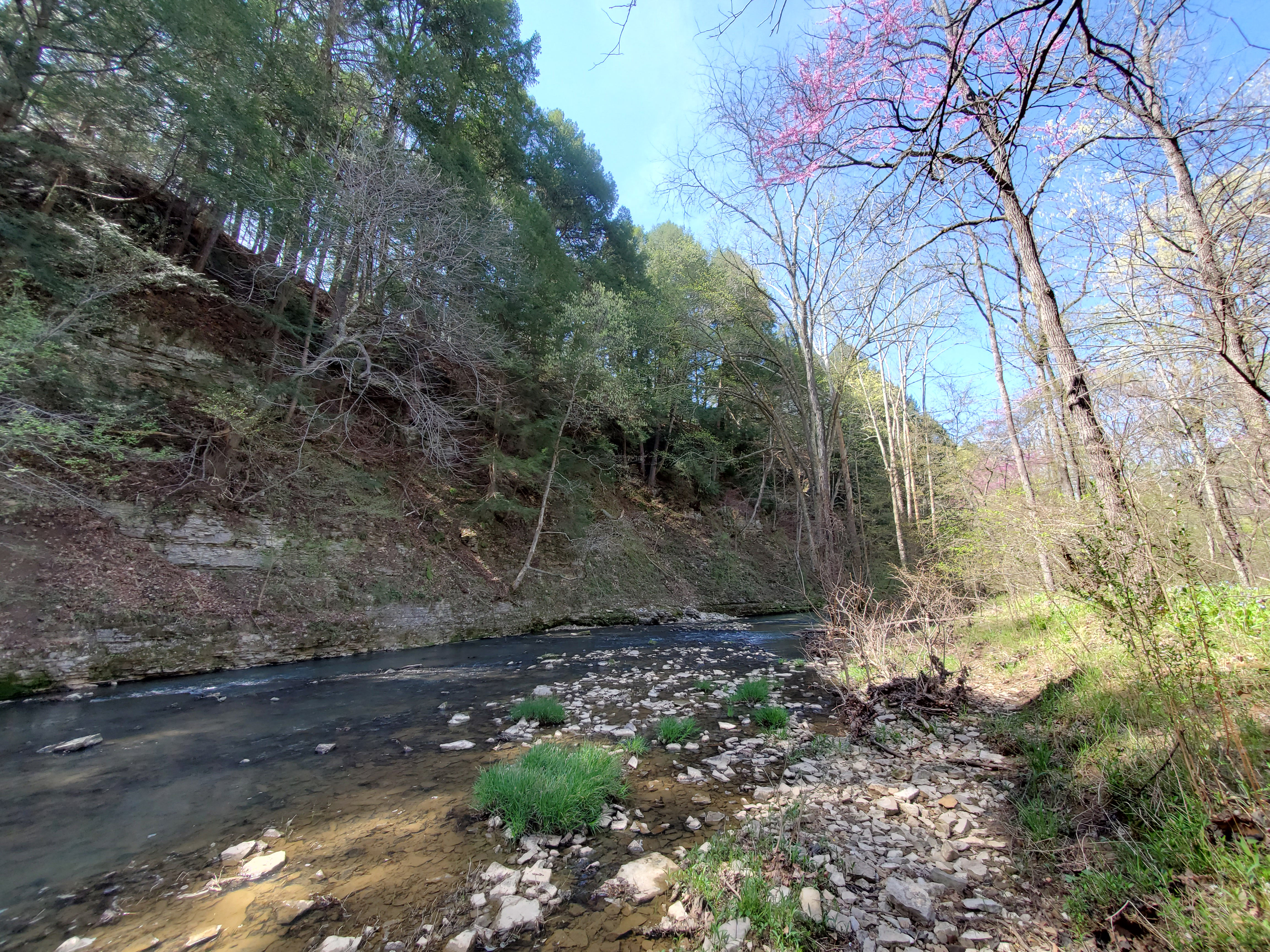 Creek runs by steep sandstone cliffs.