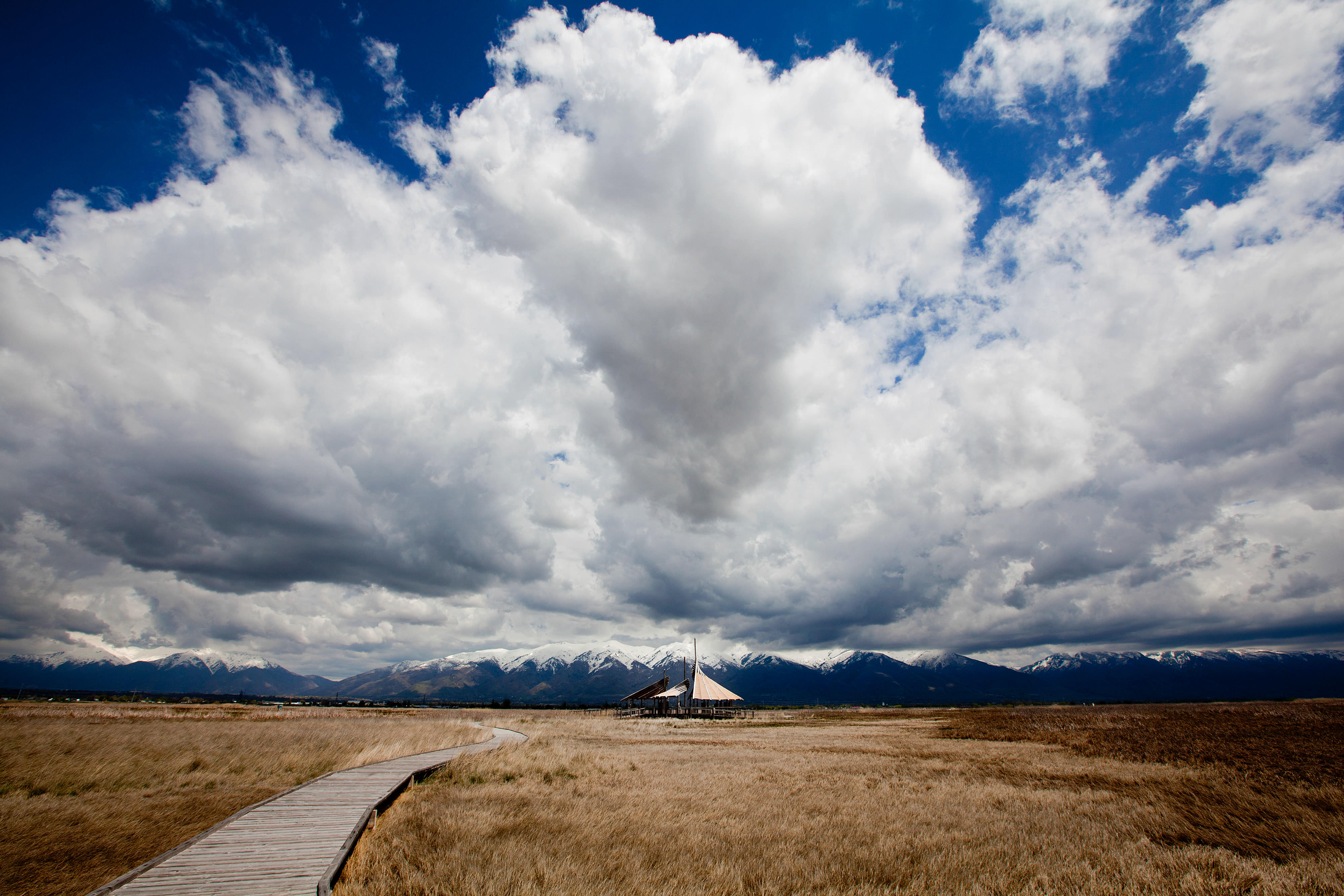 Landscape view of a long boardwalk through a marsh that ends in a covered pavilion.