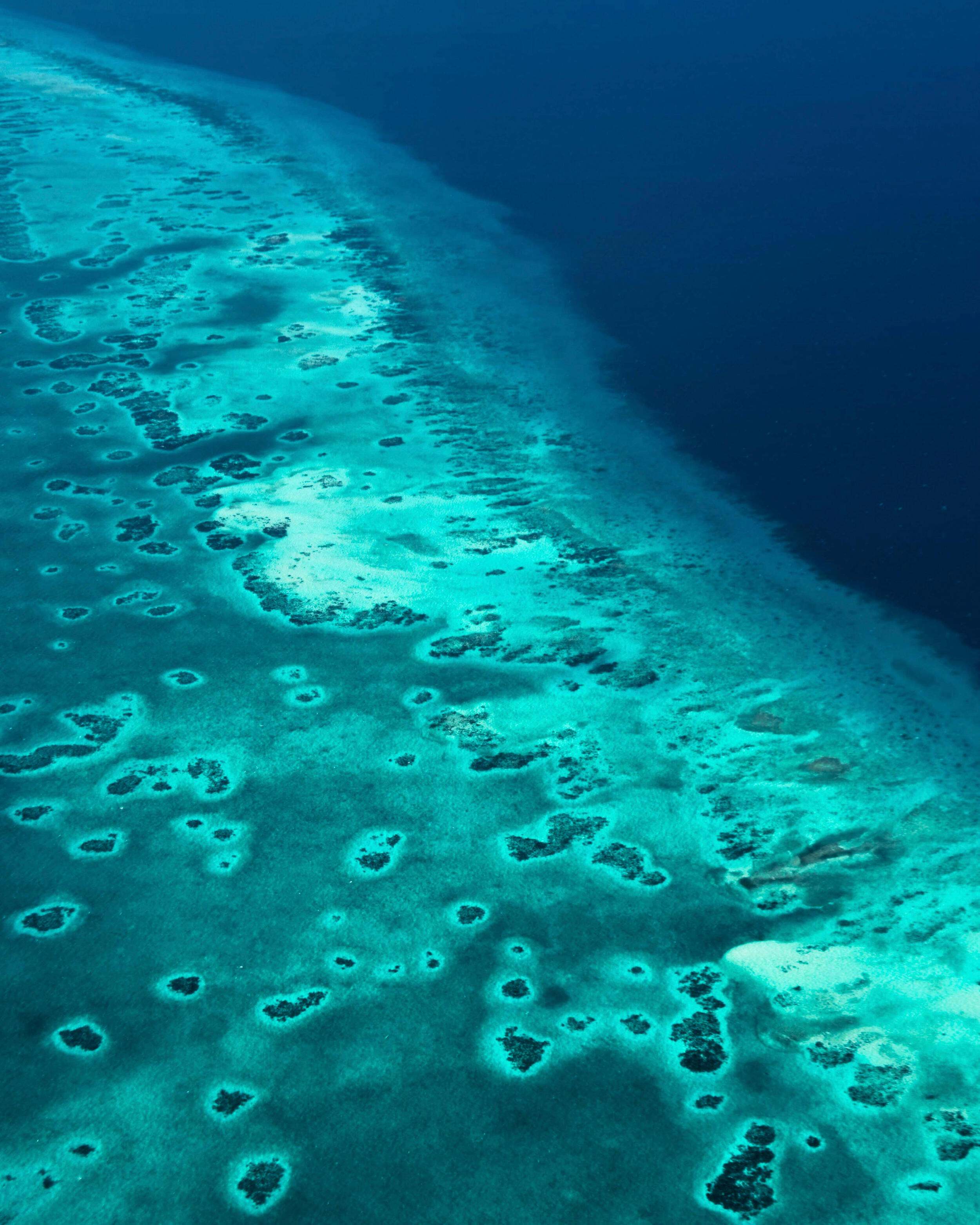 Una fotografía aérea muestra aguas azules que se encuentran con un arrecife y una zona costera.