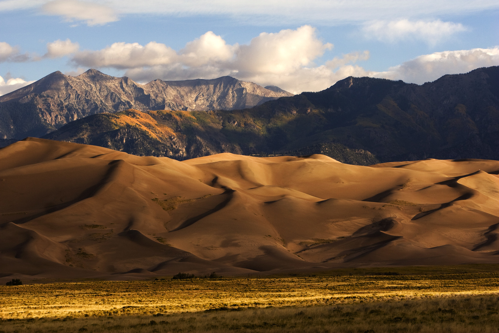 A landscape shot of Great Sand Dunes National Park in Colorado. 