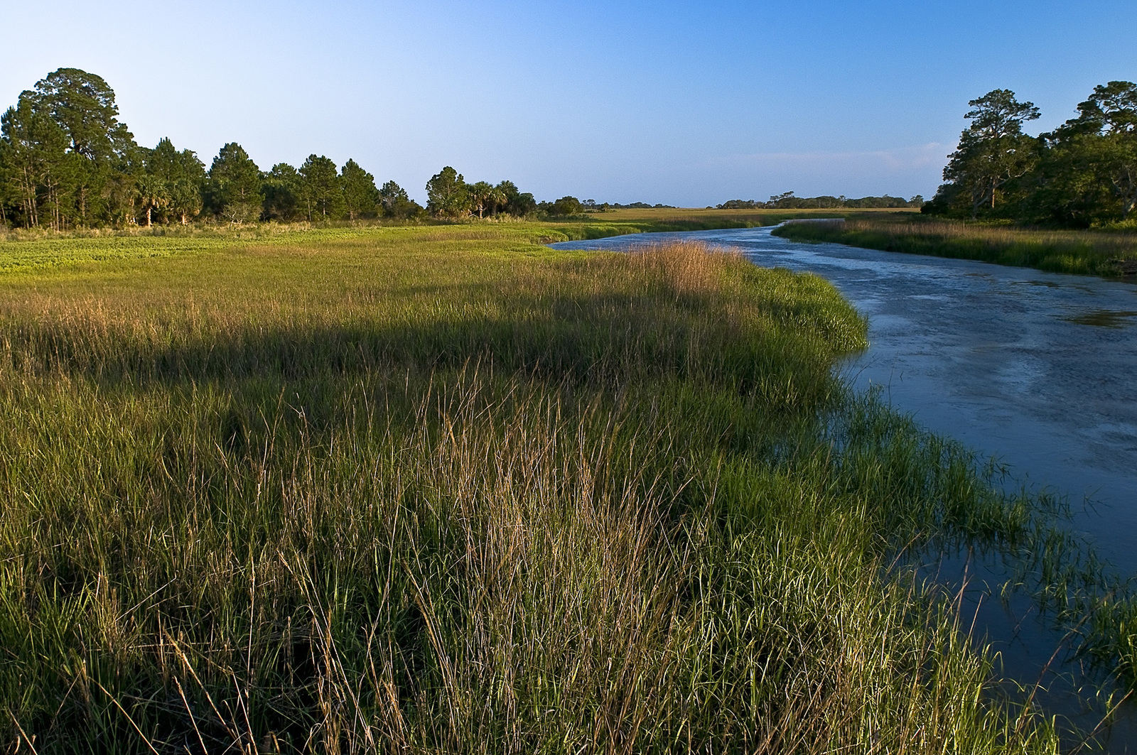 A tidal river bordered by thick marsh grasses.