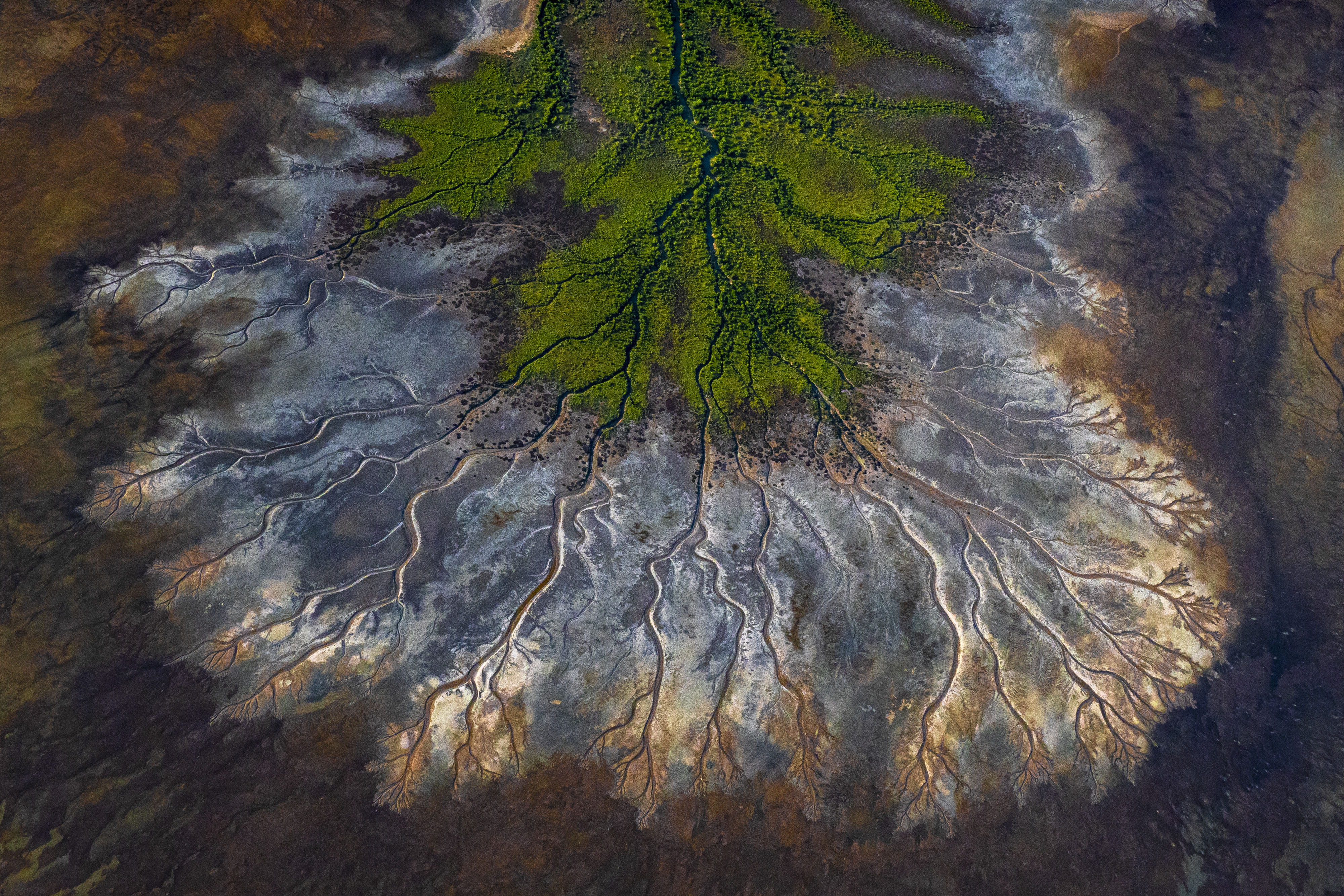 Aerial image of mud flats and tidal waters.