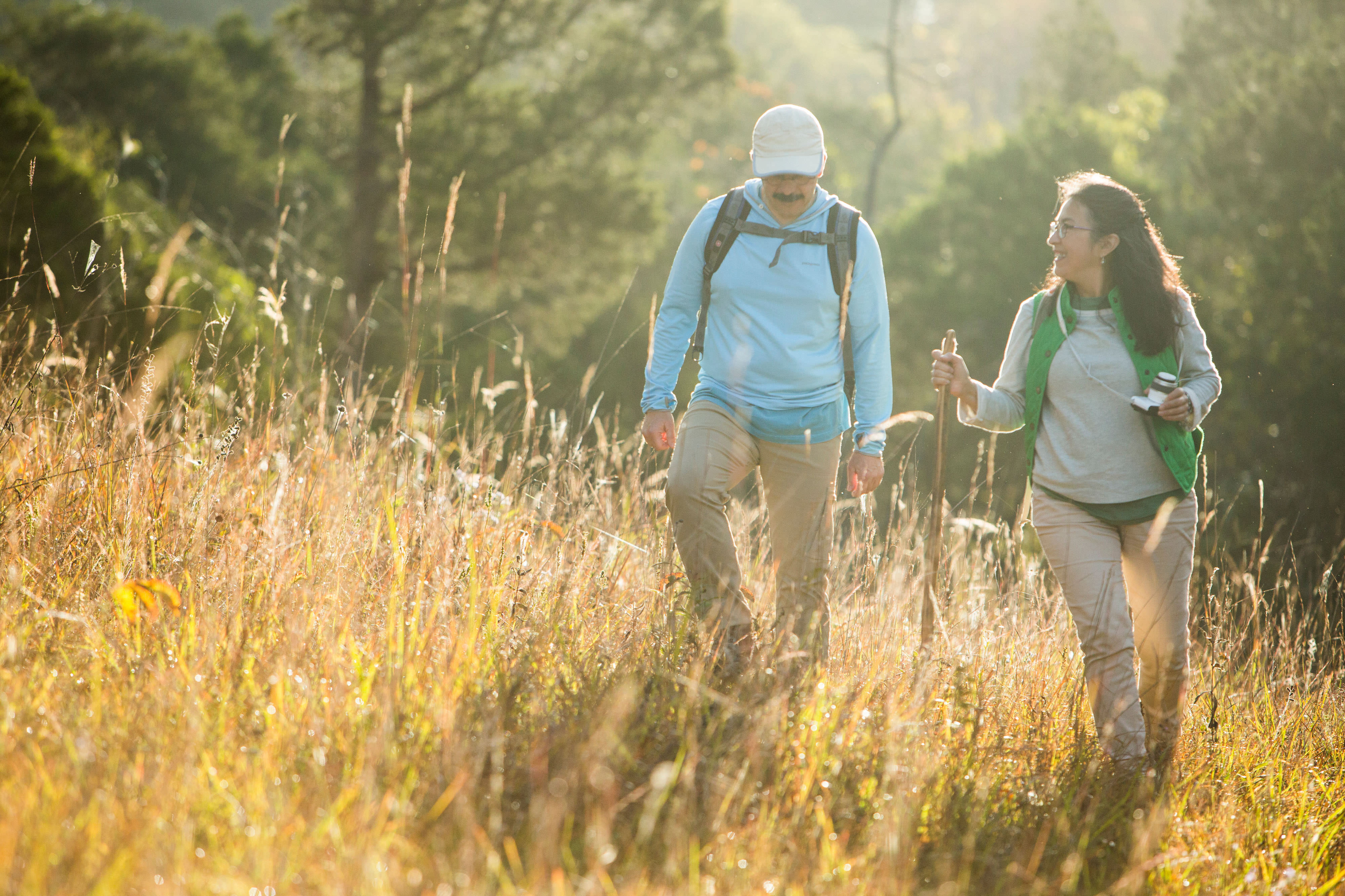 Four people walk through a golden meadow.