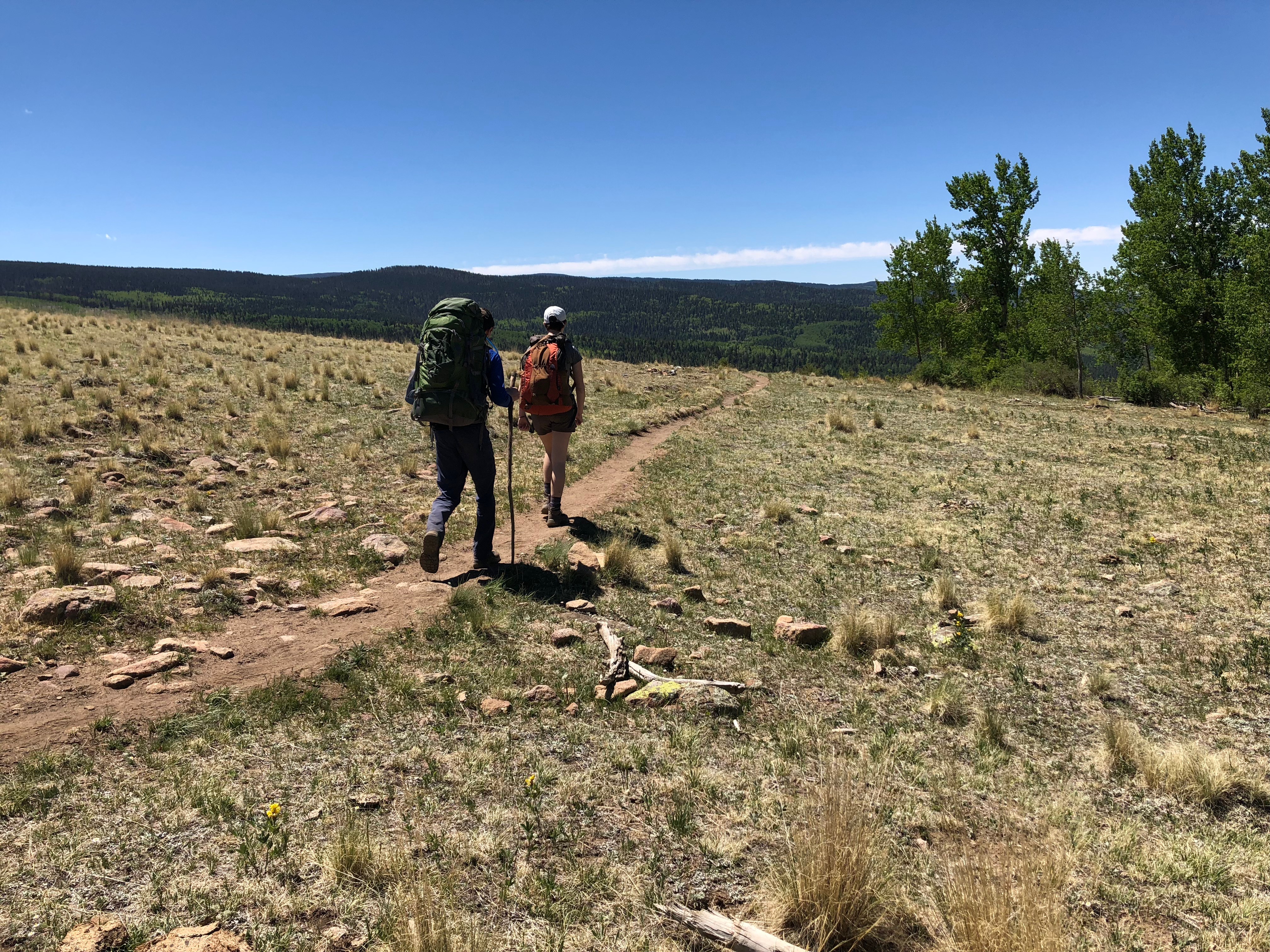 Hikers in the Sangre de Cristos