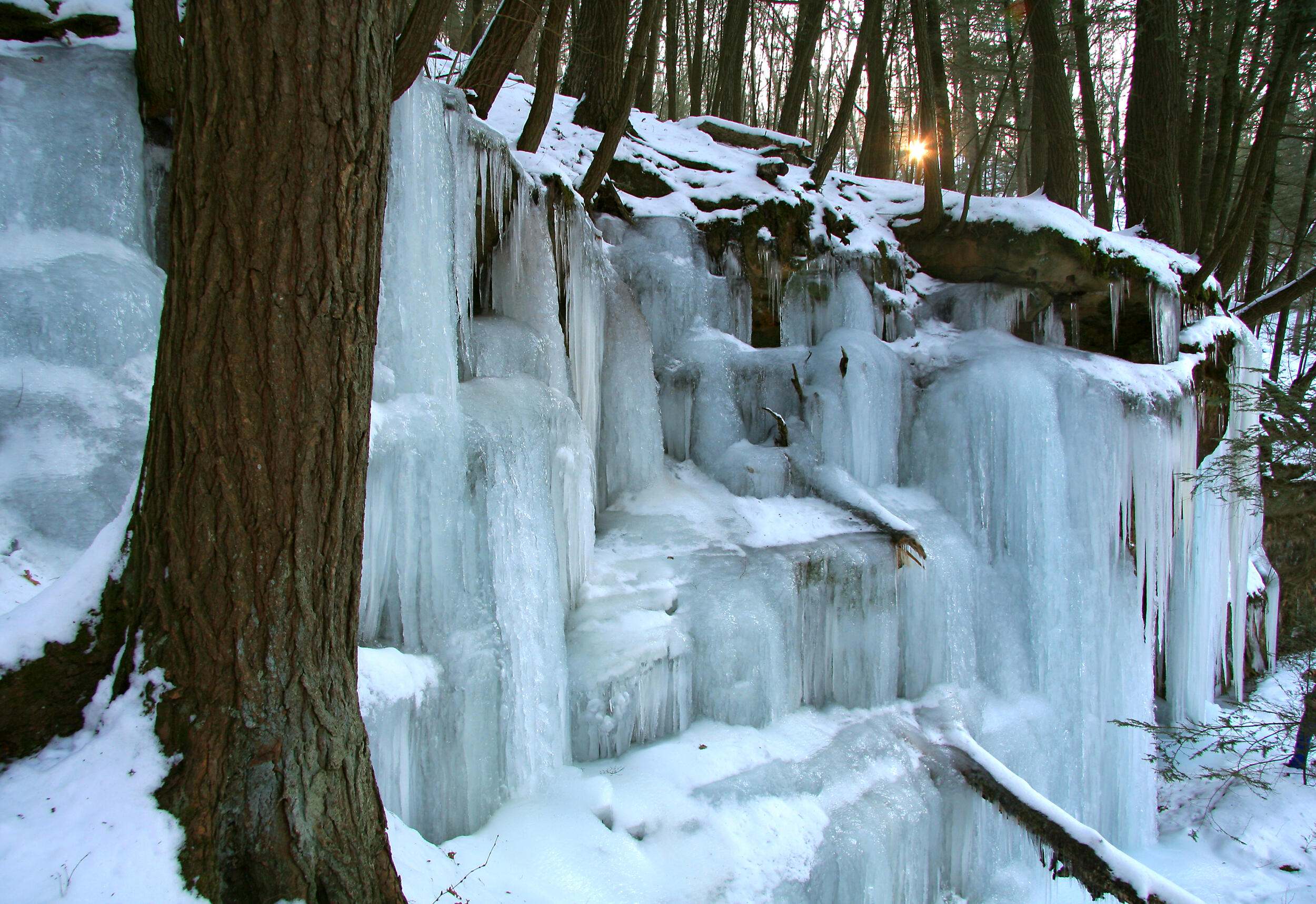 Ice formation and sun through trees at Hemlock Draw Preserve, Baraboo Hills, Wisconsin.